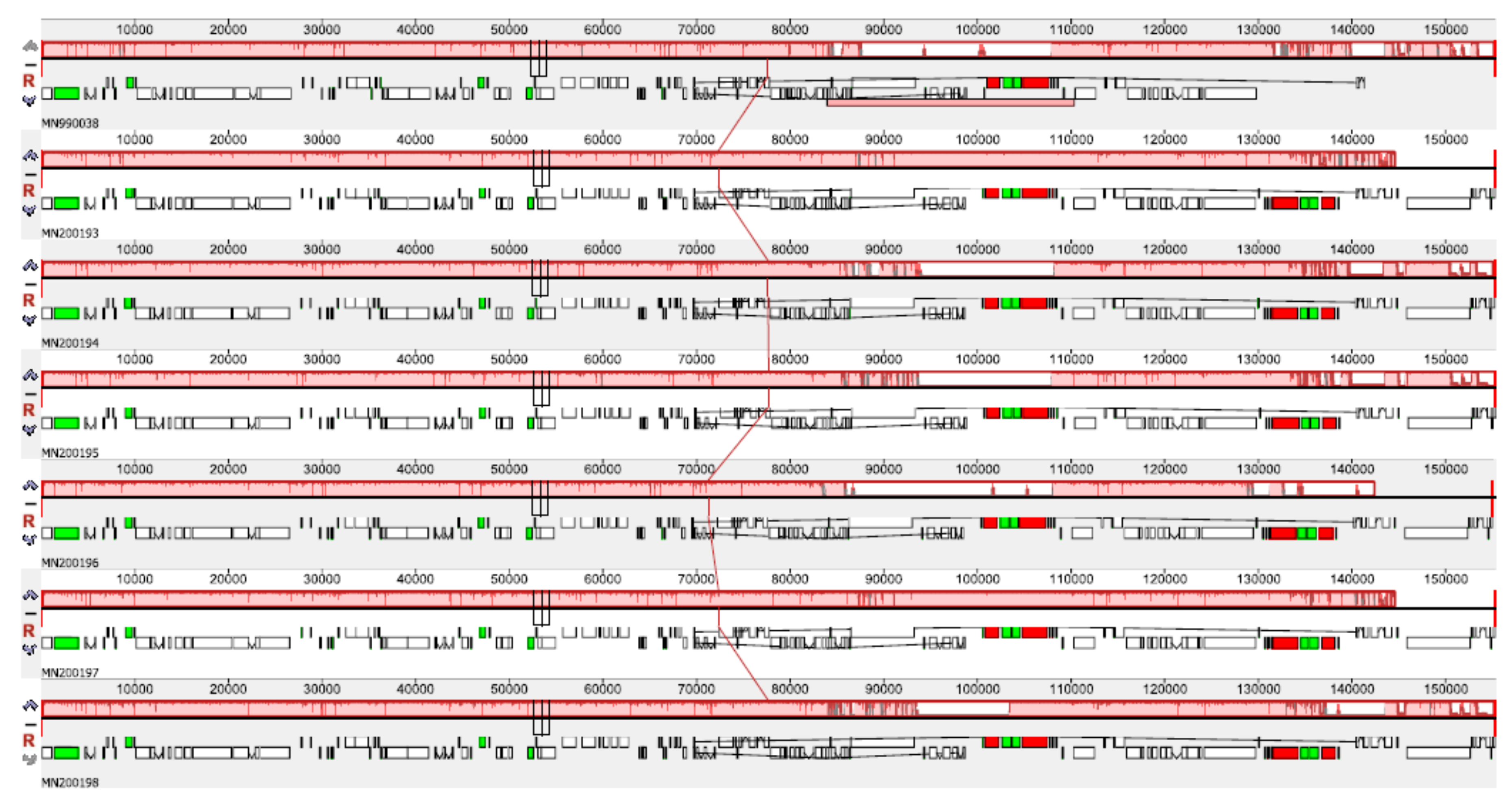 Forests 11 00309 g002