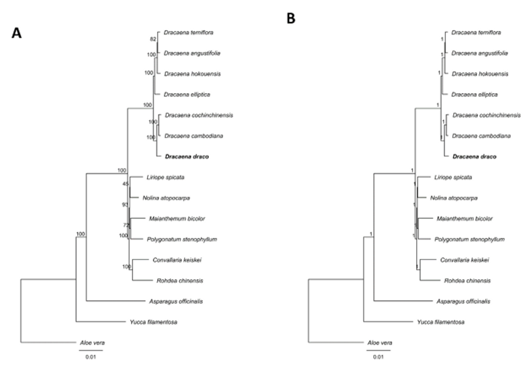 Forests 11 00309 g004