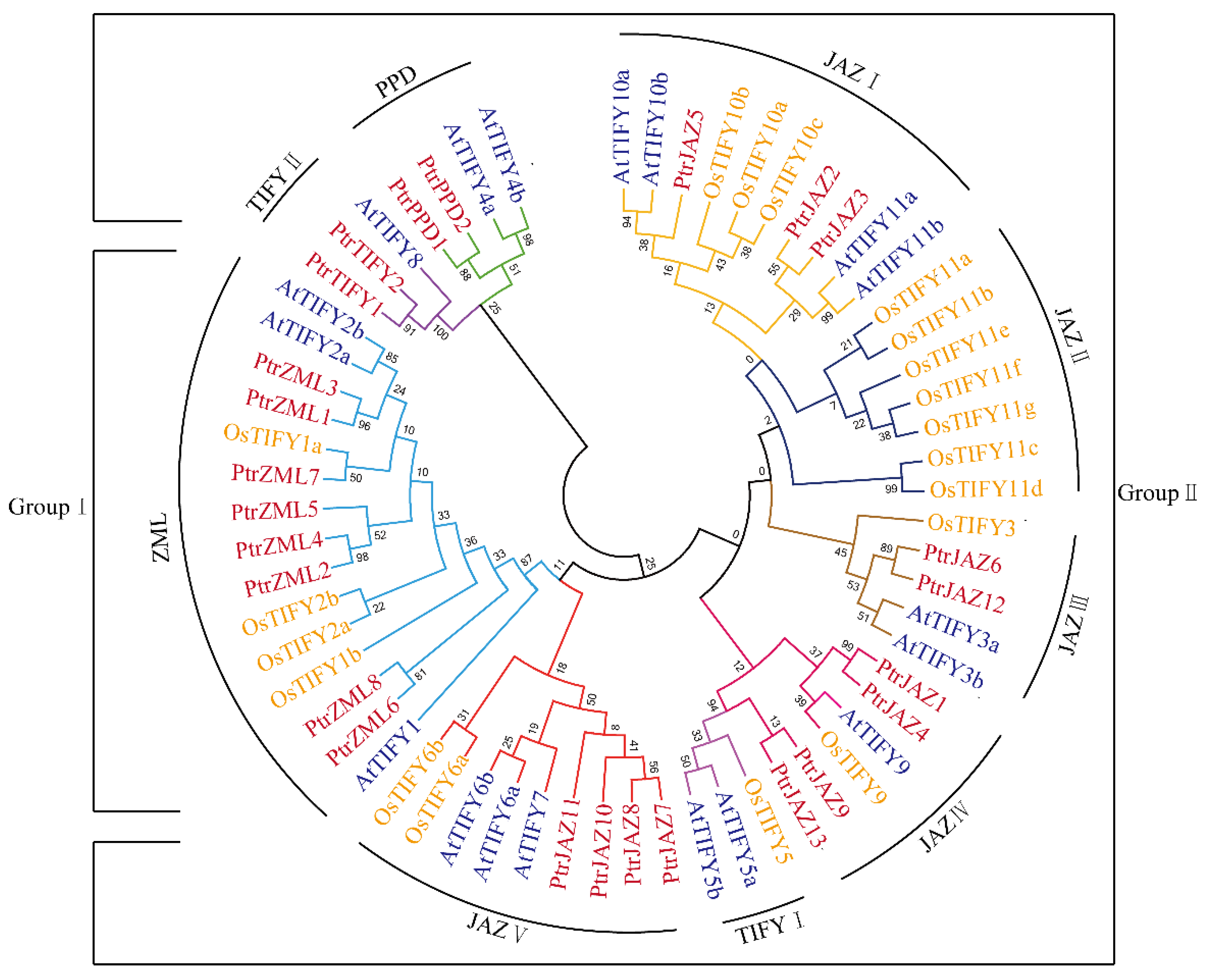 Forests 11 00315 g001