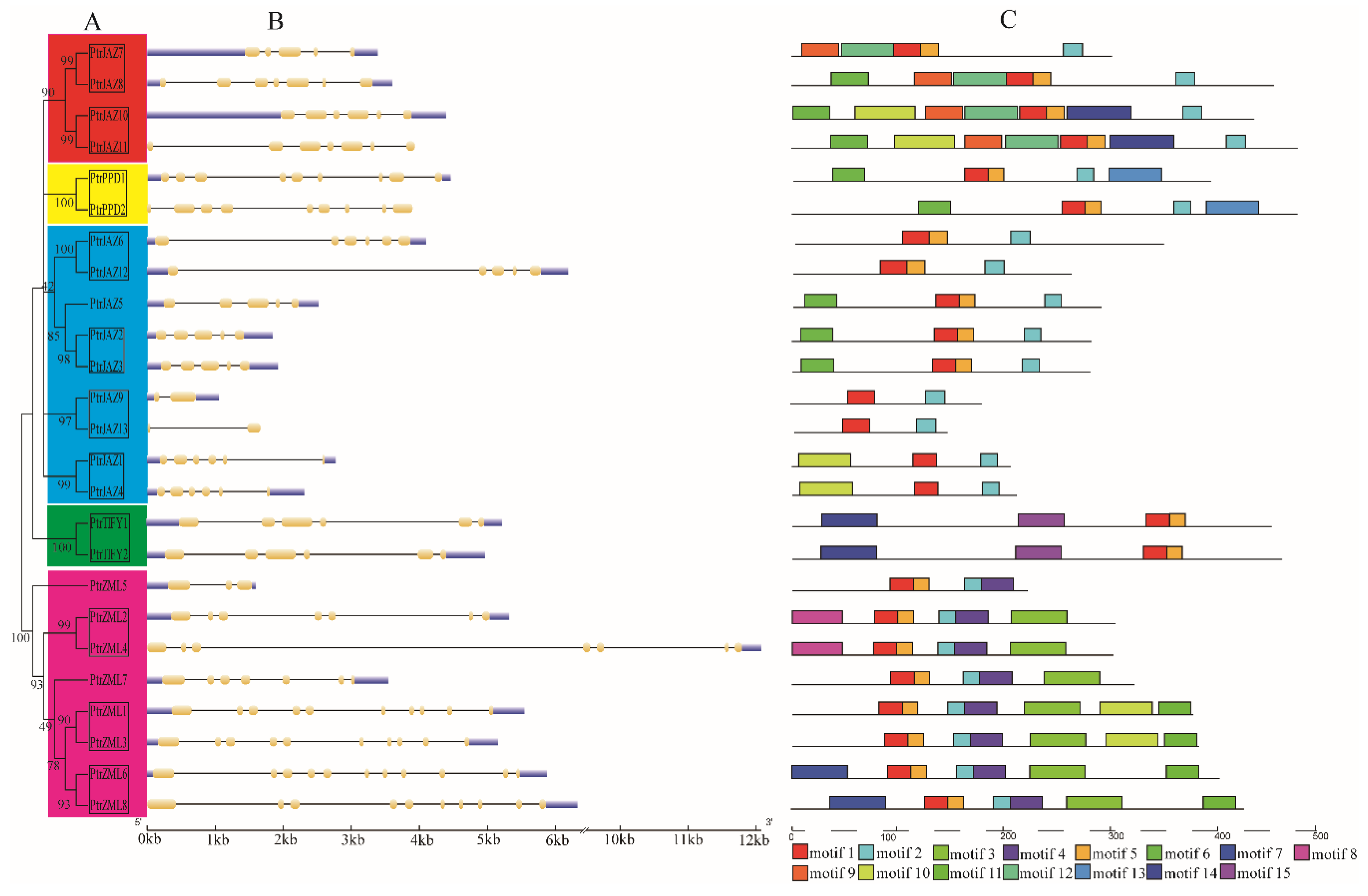 Forests 11 00315 g002