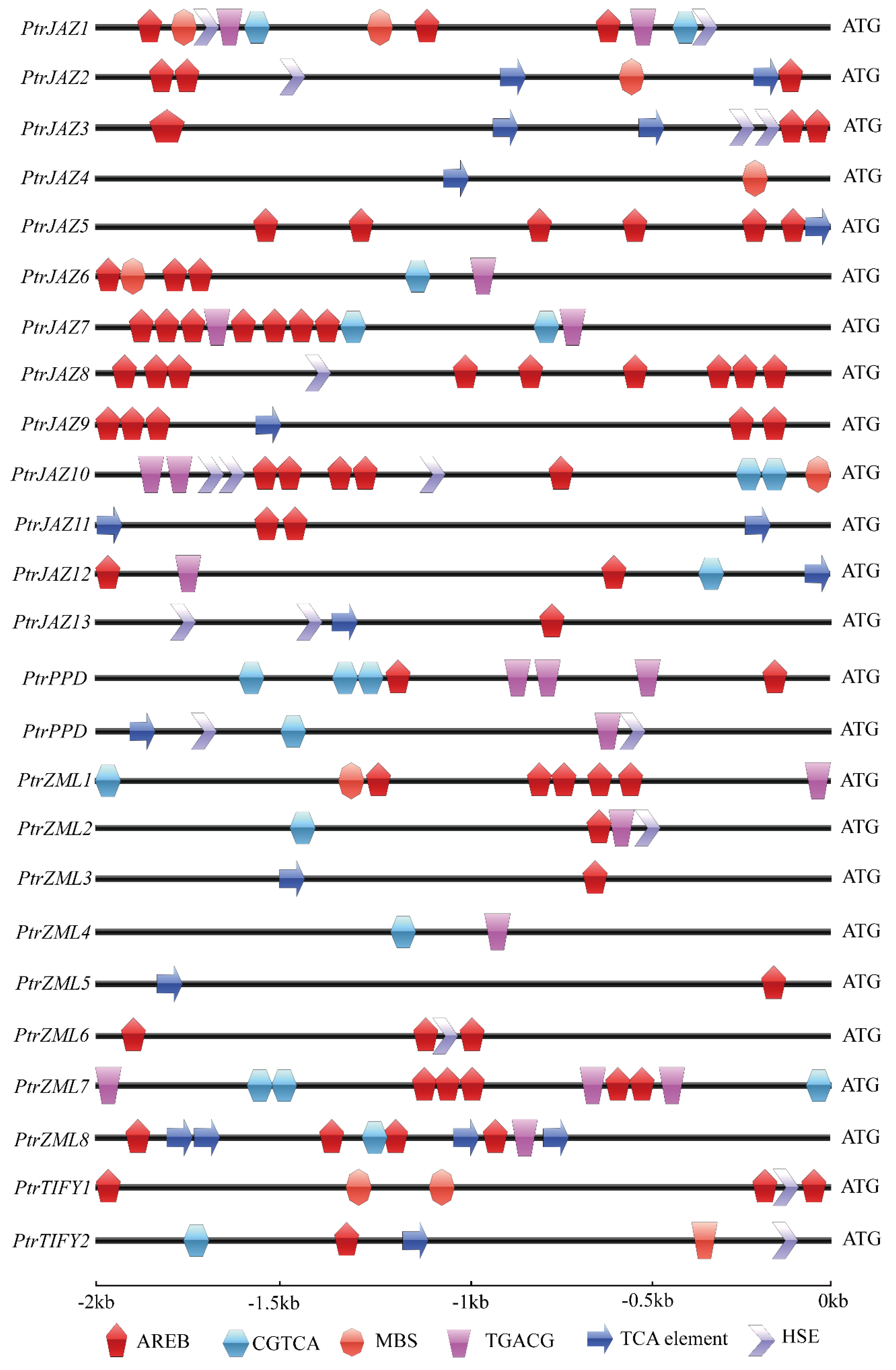 Forests 11 00315 g003