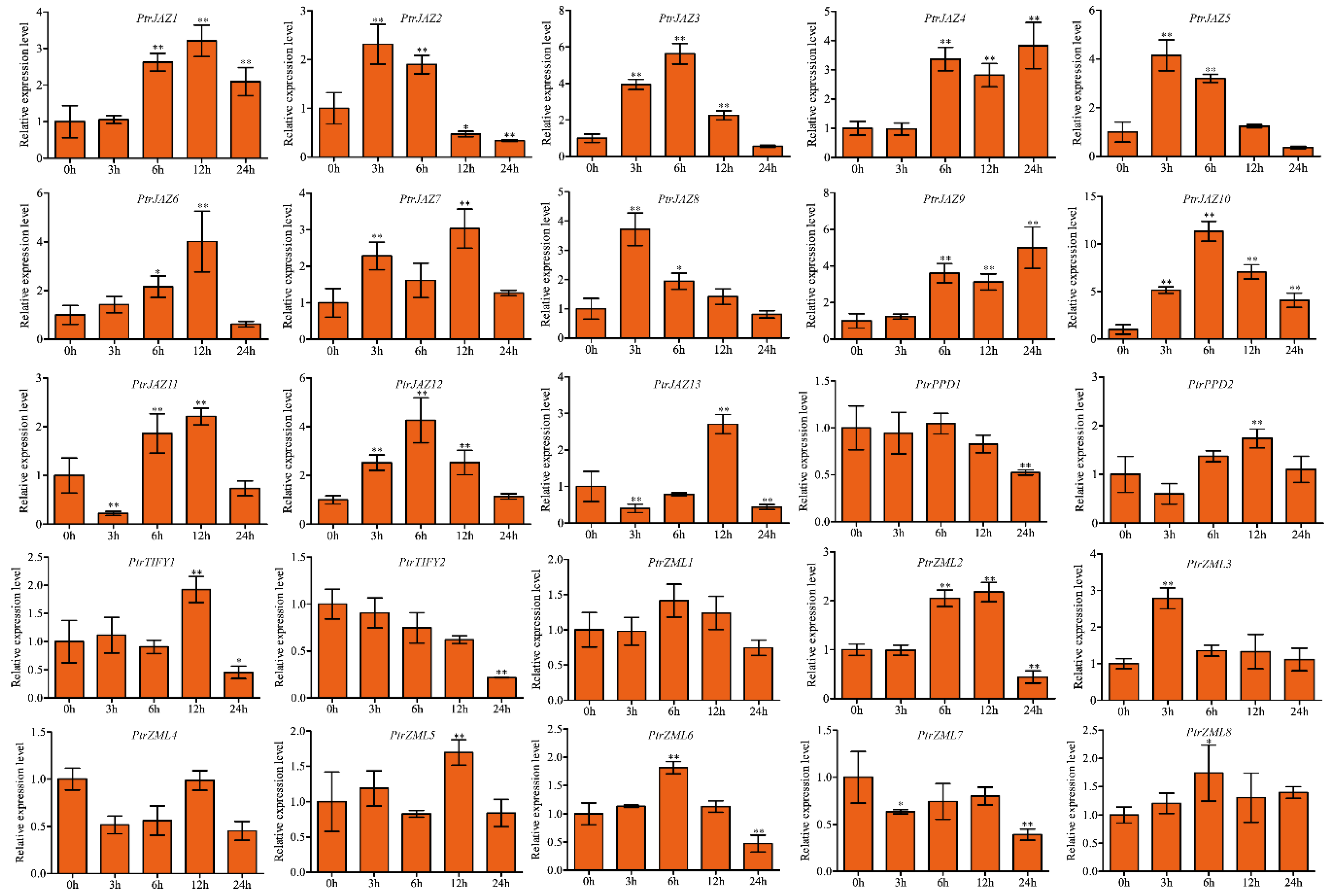 Forests 11 00315 g004