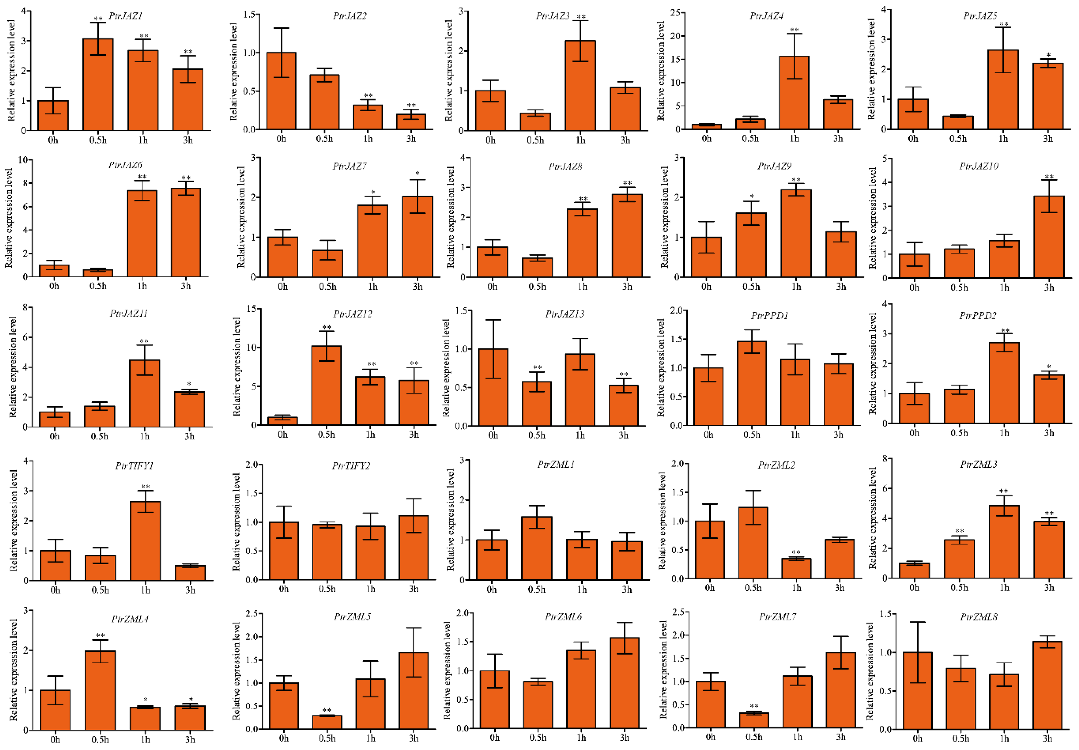 Forests 11 00315 g005