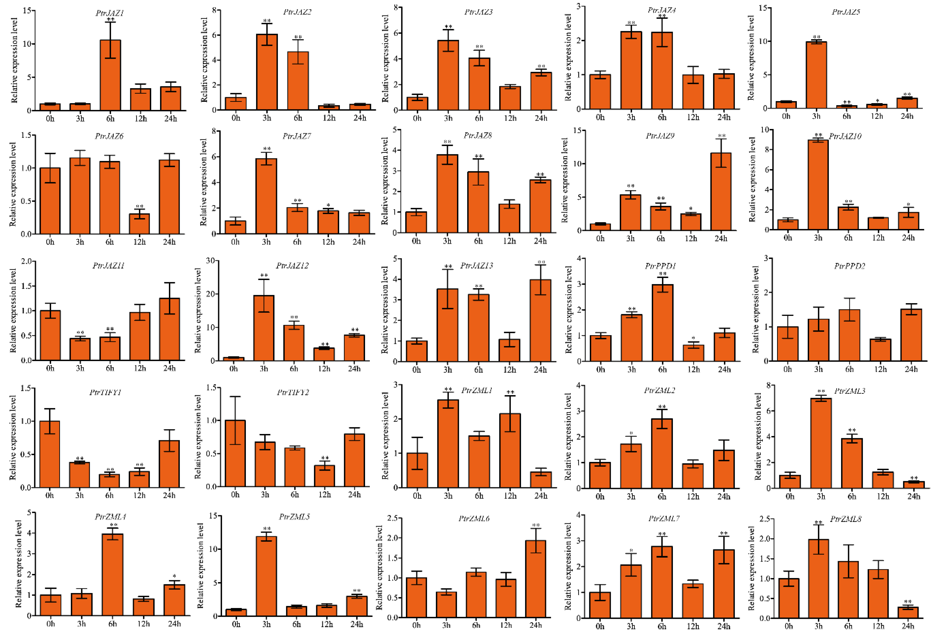 Forests 11 00315 g006