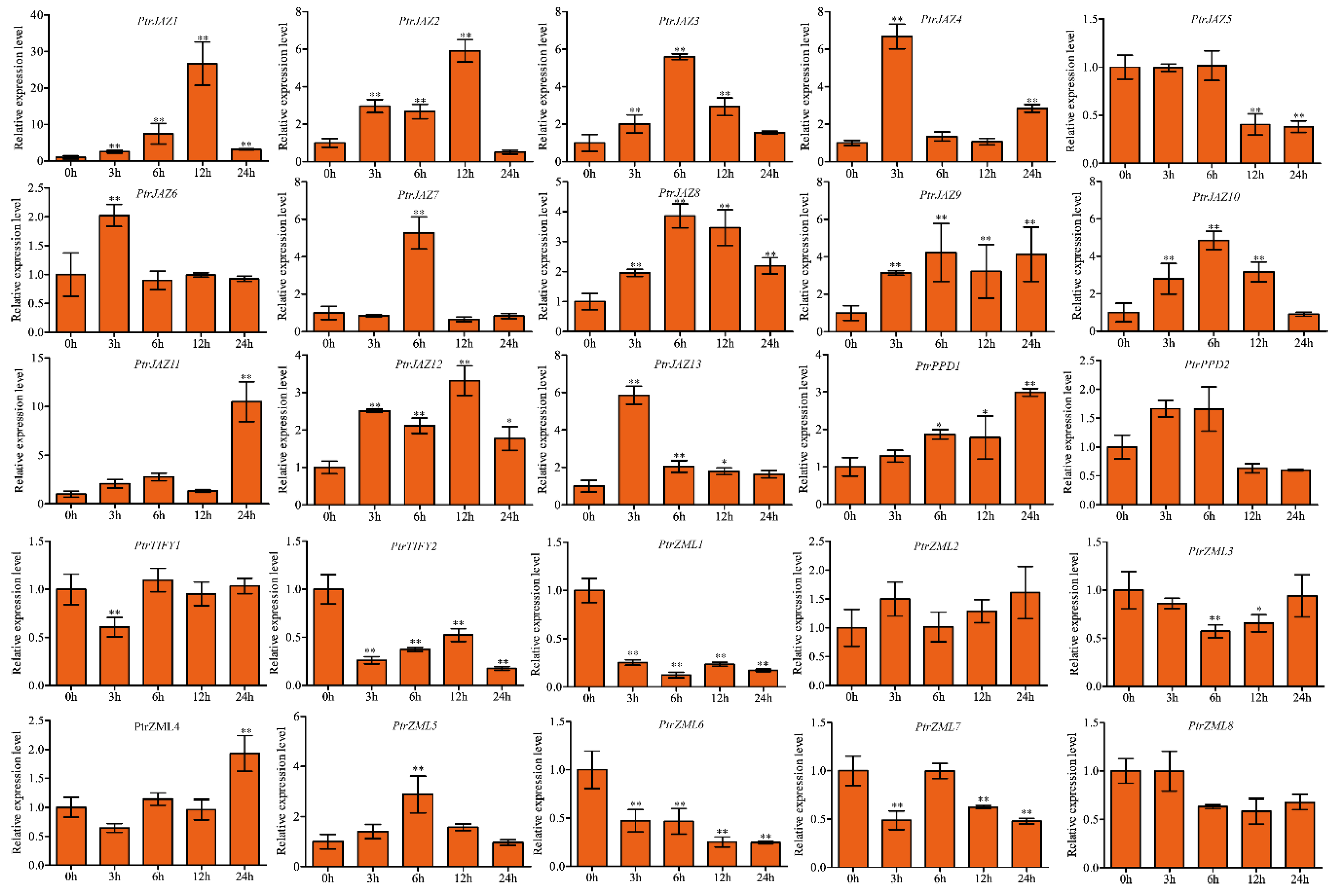 Forests 11 00315 g009