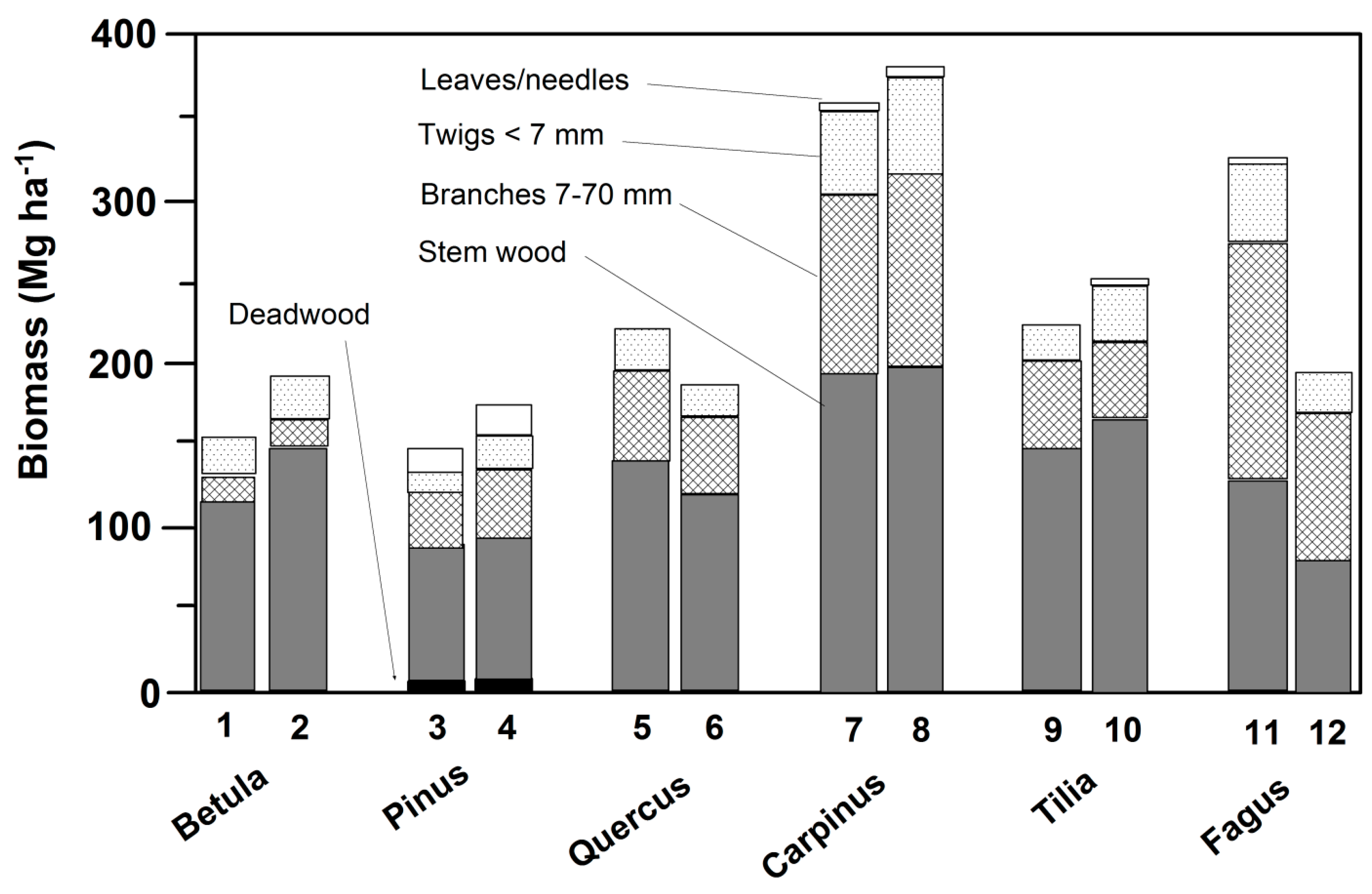 Forests 11 00317 g001