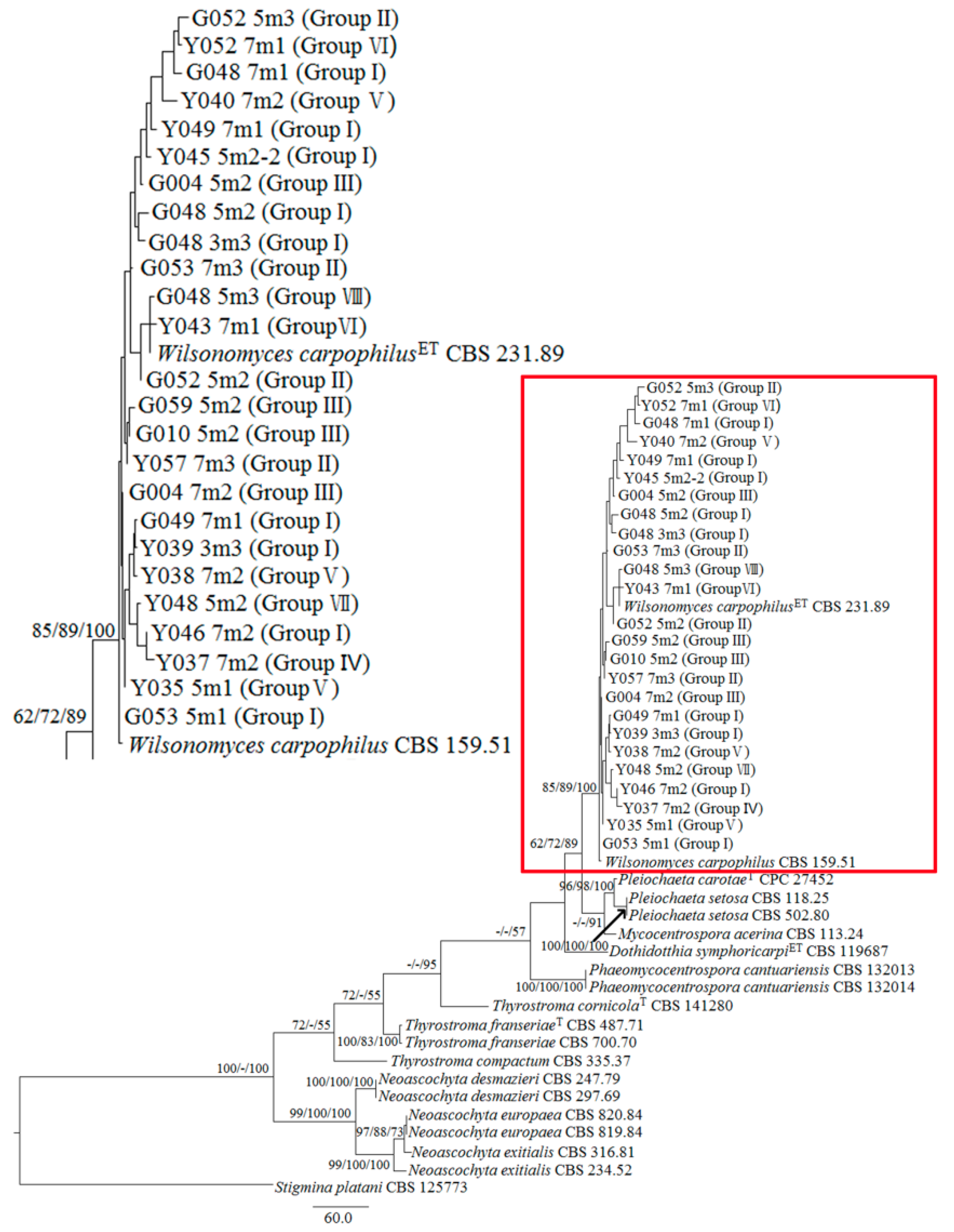 Forests 11 00319 g003 Forests 11 00319 g003