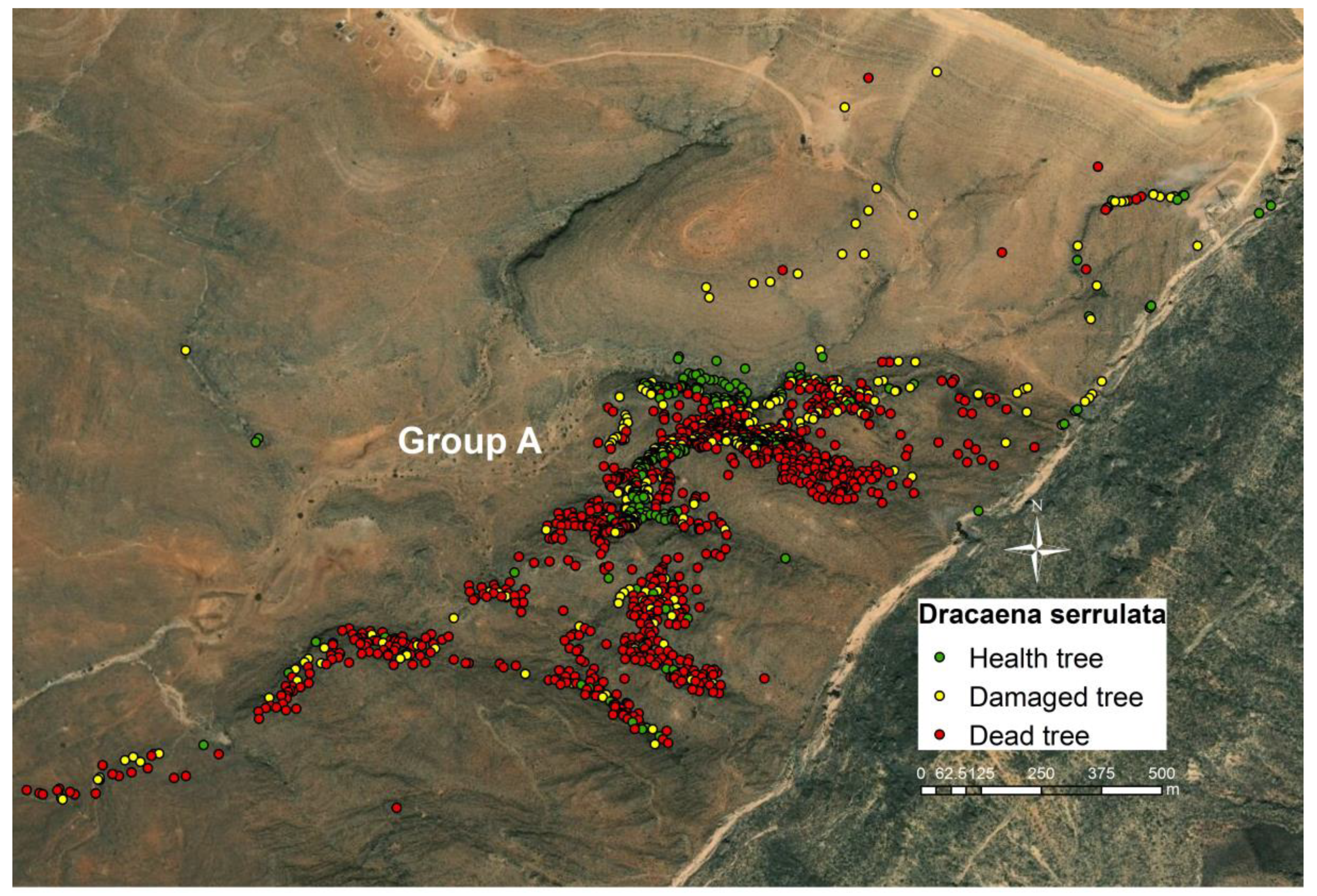 Forests 11 00322 g006