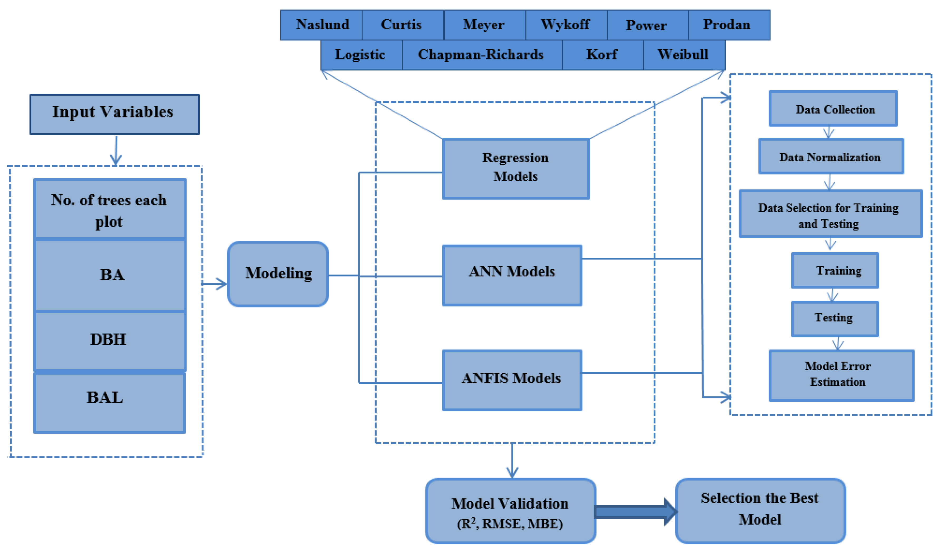 Forests 11 00324 g002