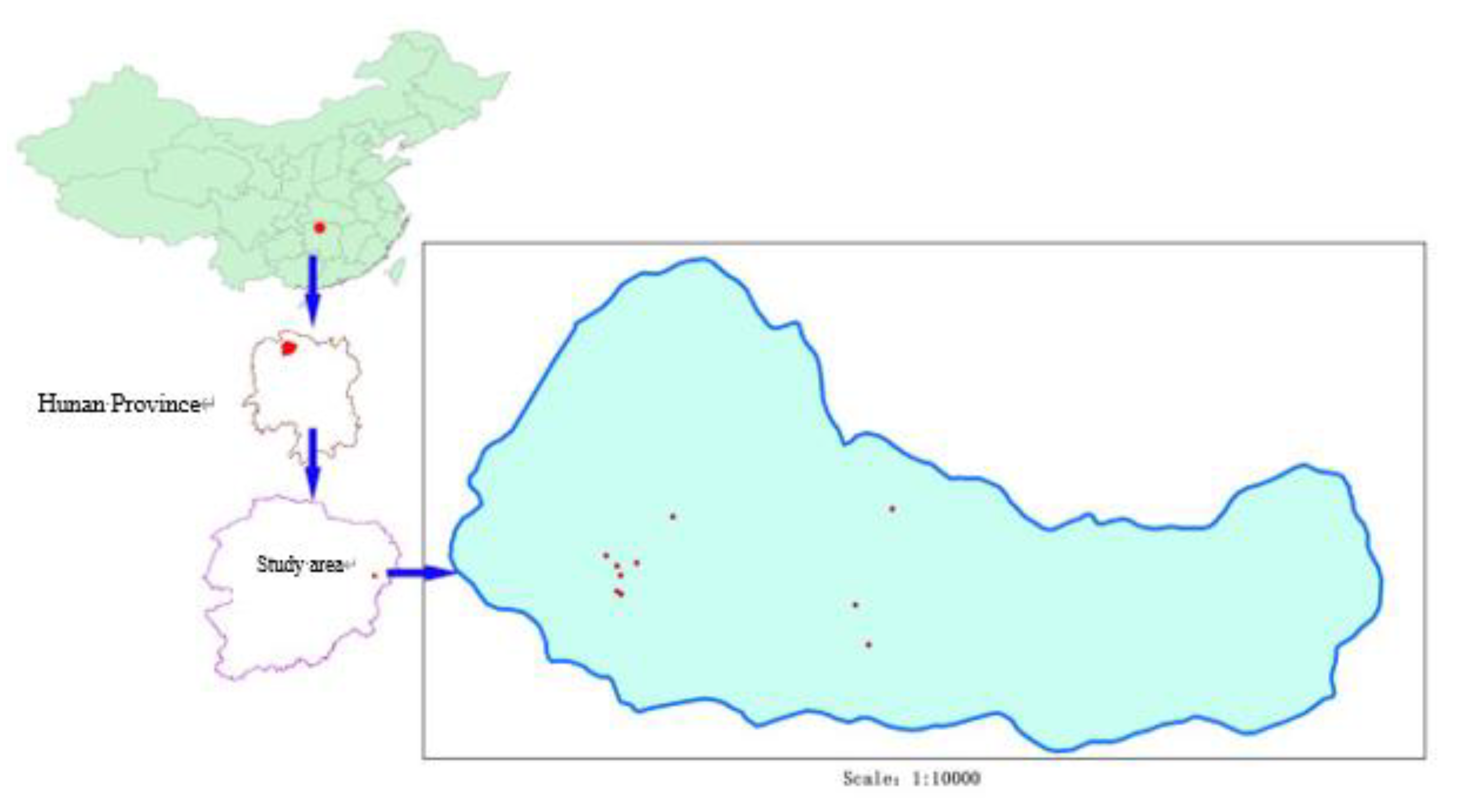 Forests 11 00329 g001