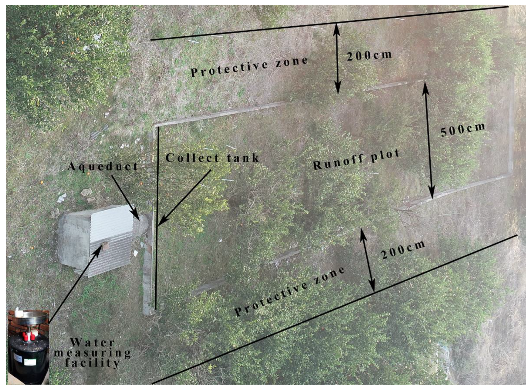 Forests 11 00329 g002