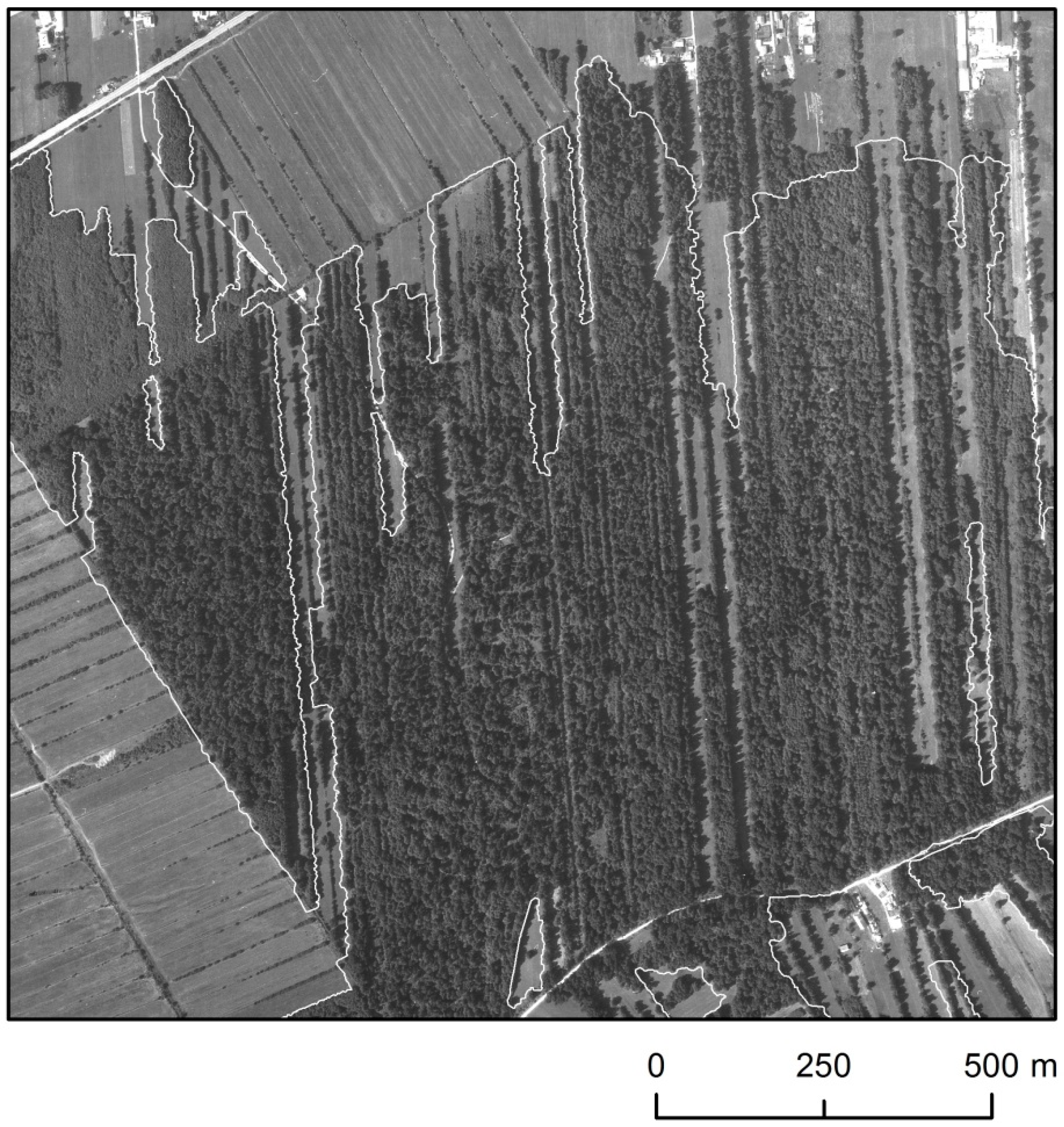 Forests 11 00338 g002