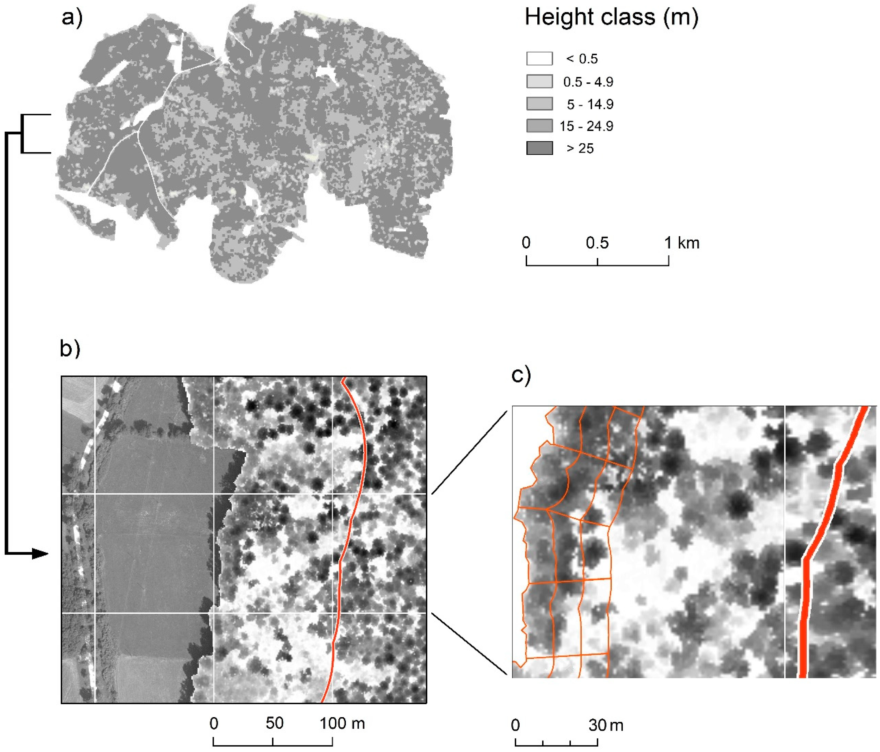 Forests 11 00338 g003