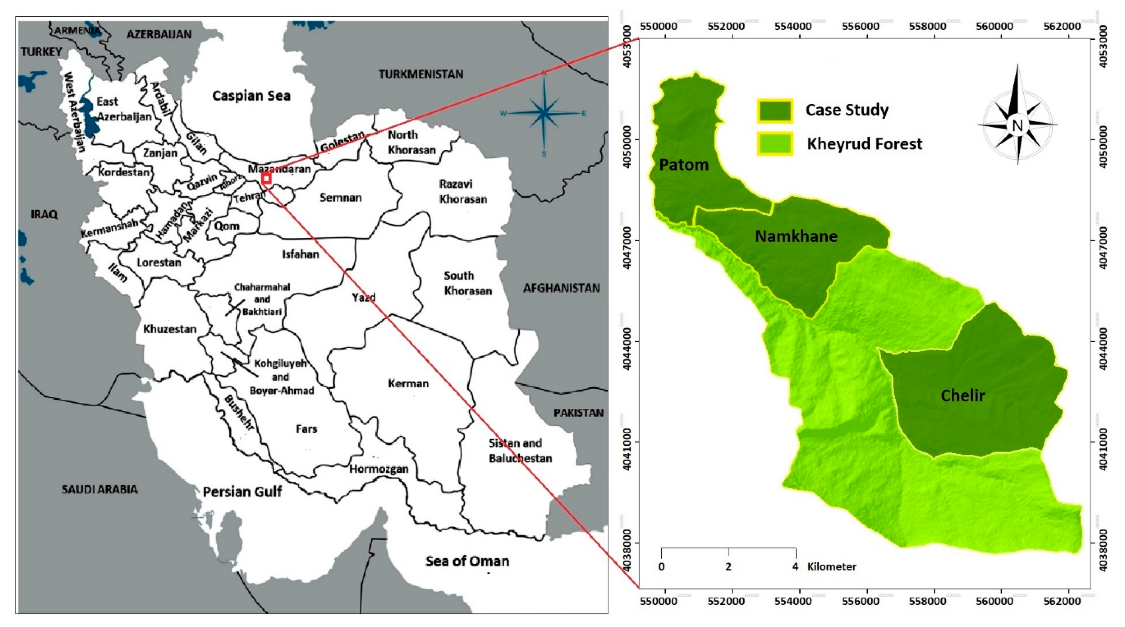 Forests 11 00345 g001