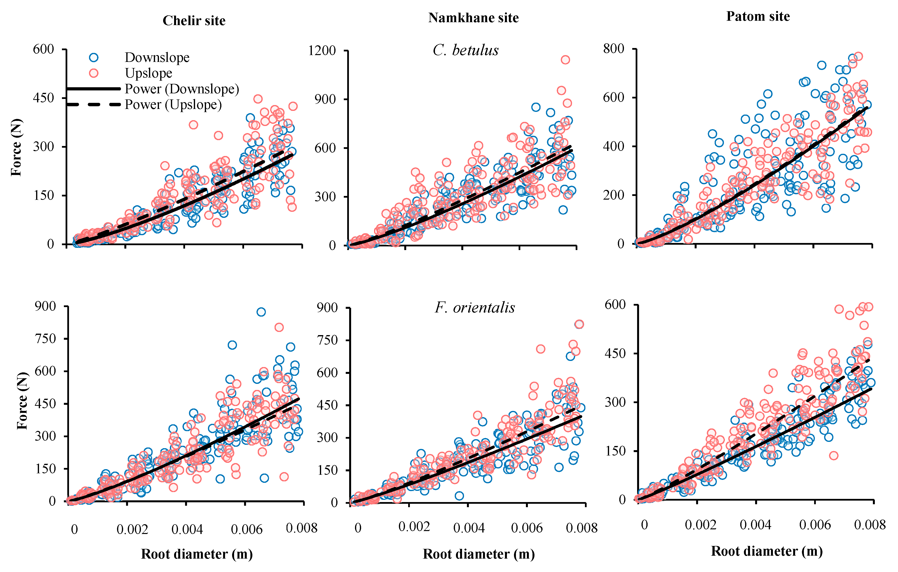 Forests 11 00345 g006