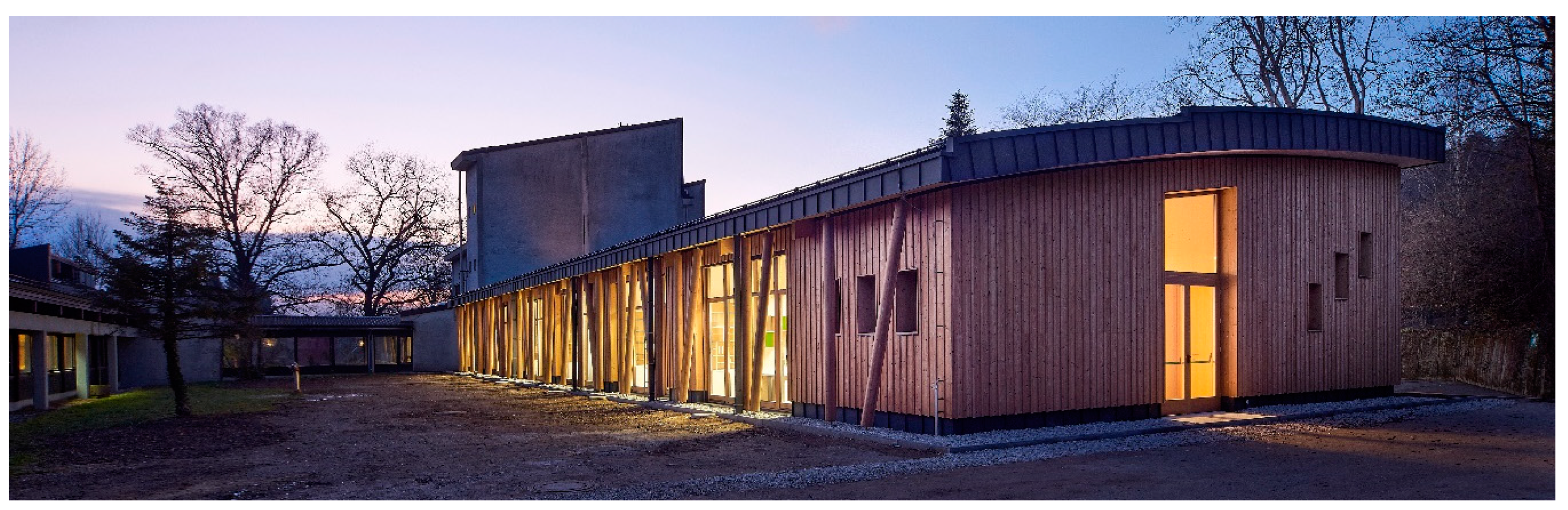 Forests 11 00348 g001