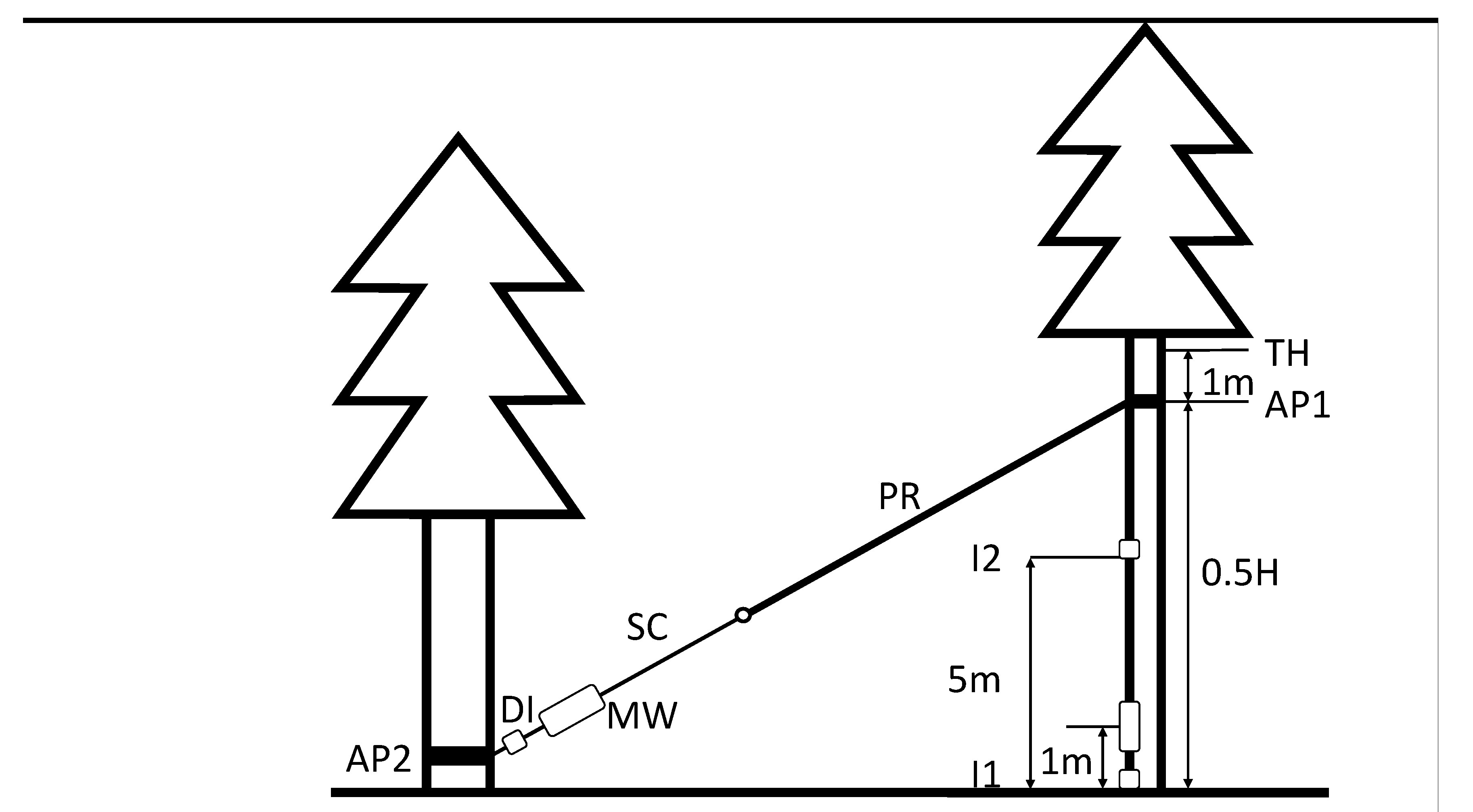 Forests 11 00357 g001