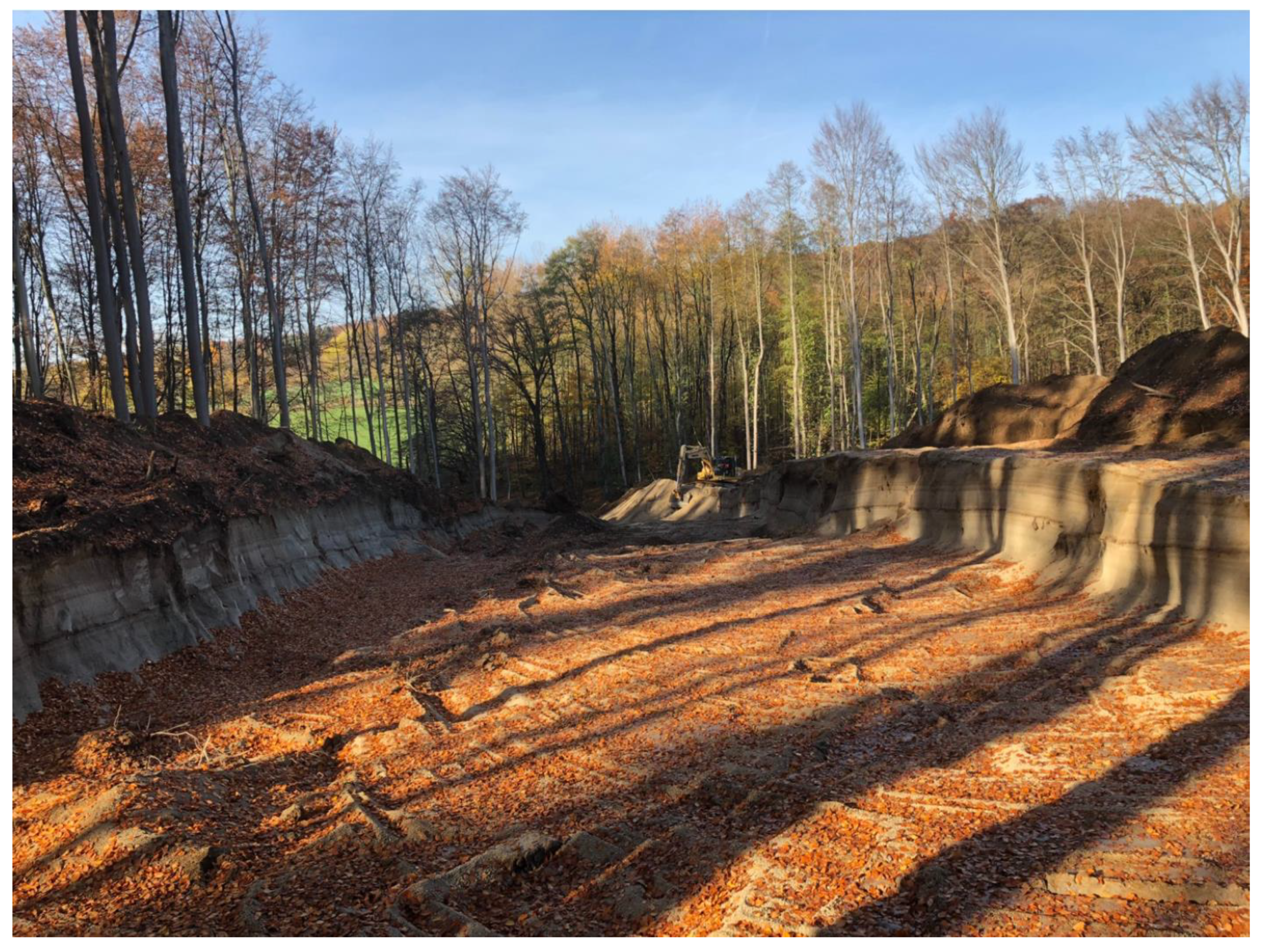 Forests 11 00360 g003