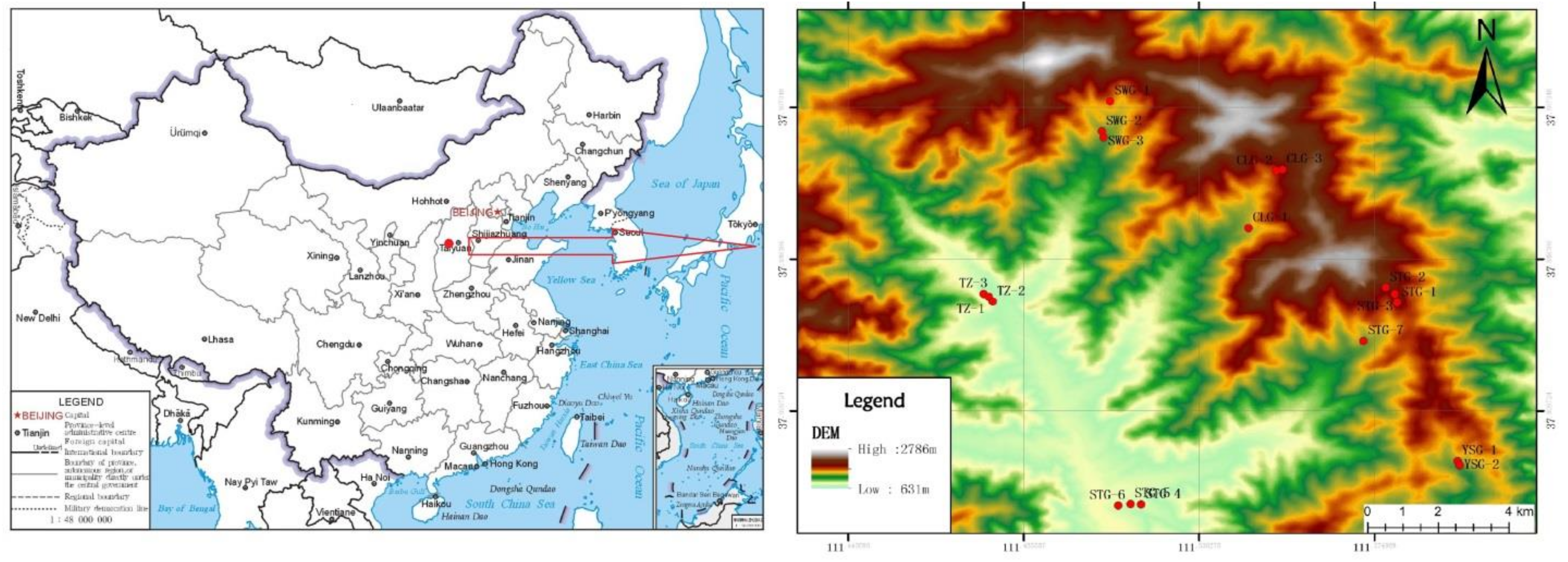 Forests 11 00363 g001