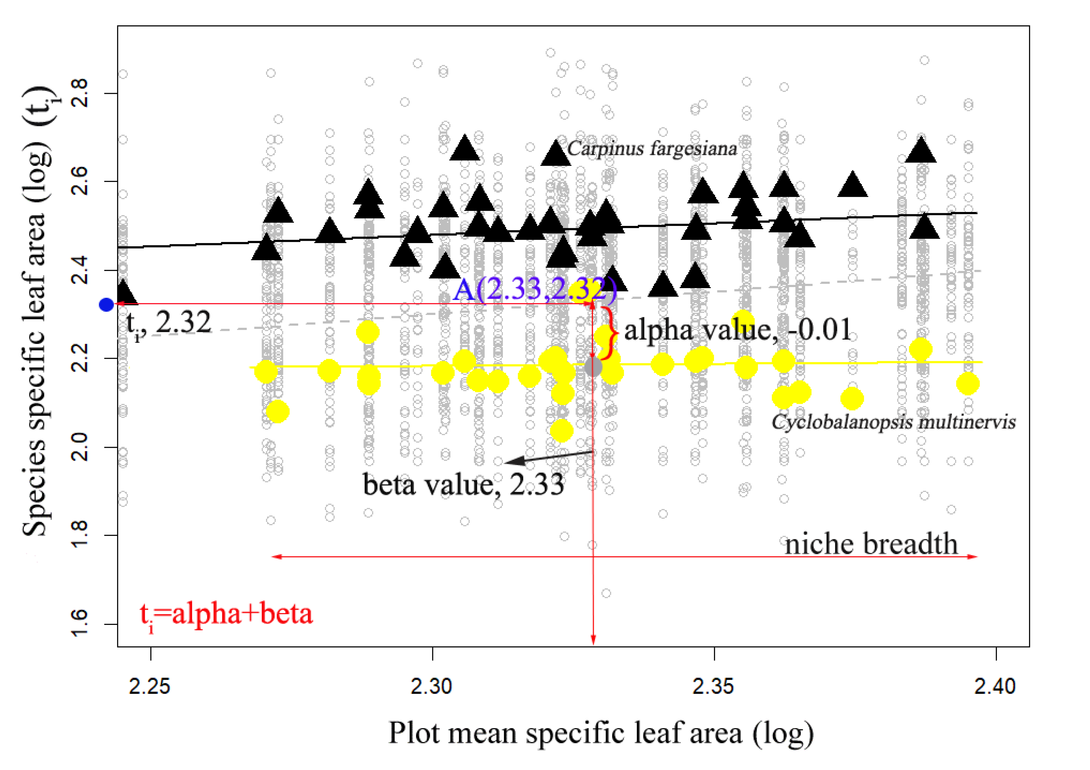 Forests 11 00364 g001 Forests 11 00364 g001