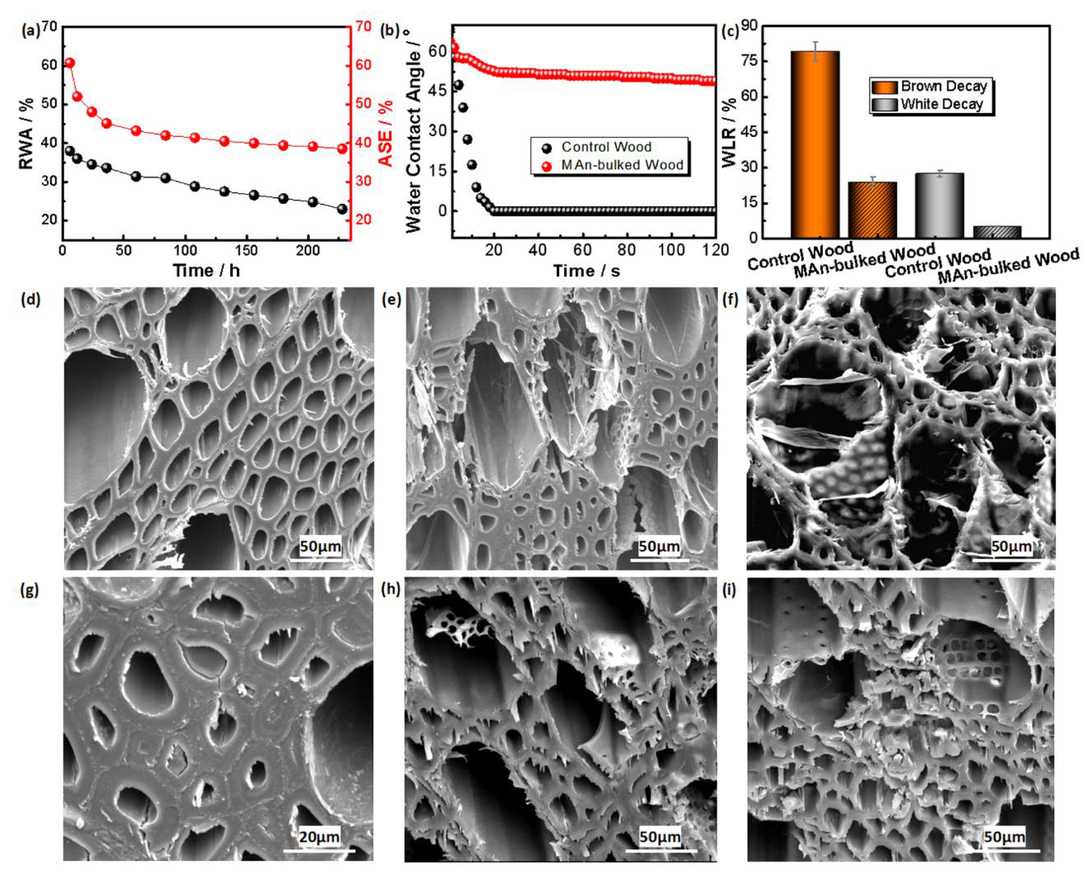 Forests 11 00367 g004