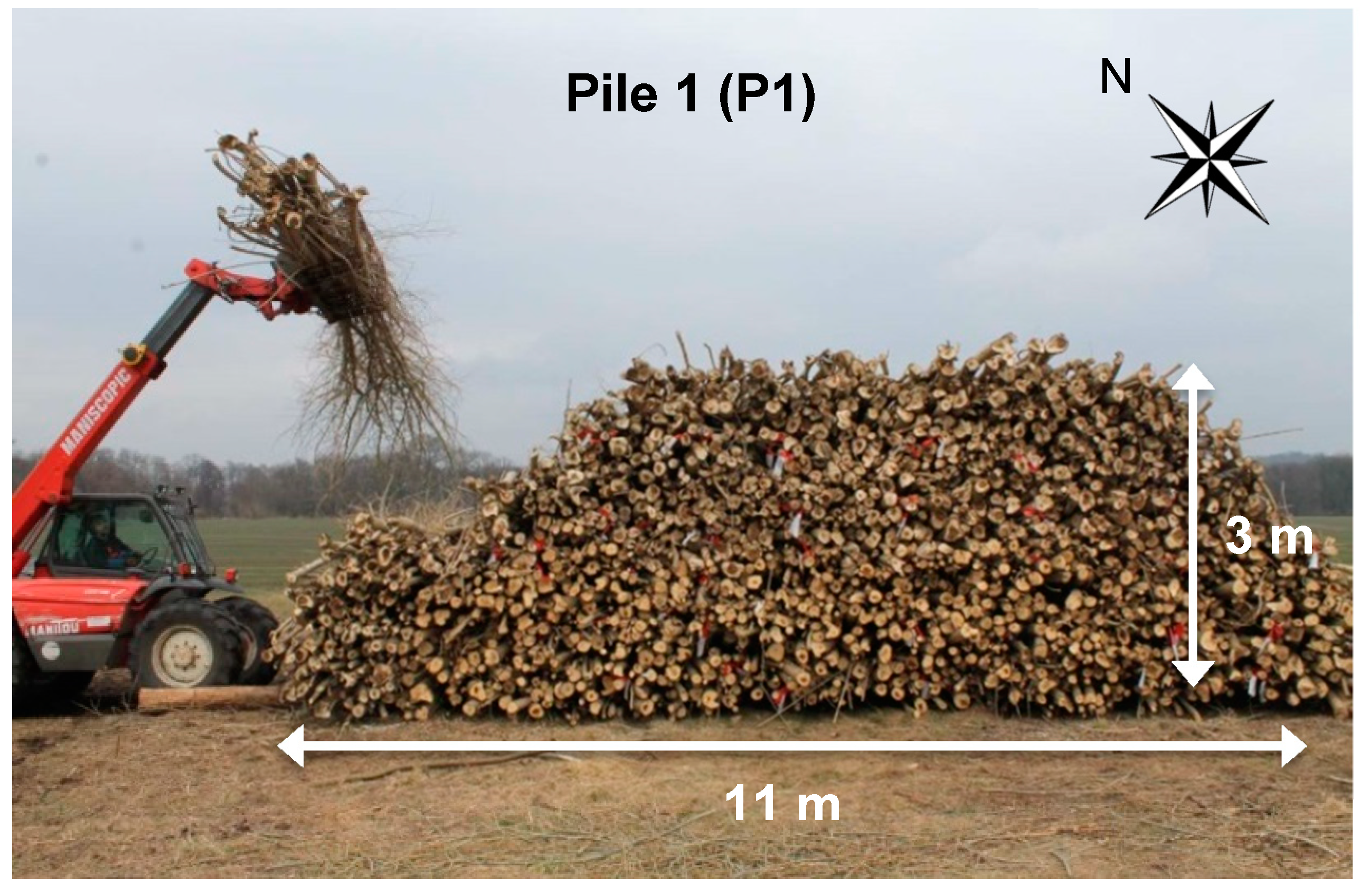 Forests 11 00374 g002 Forests 11 00374 g002