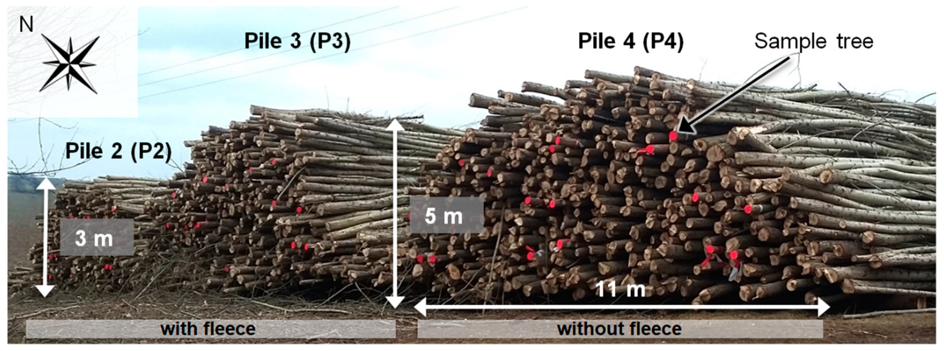 Forests 11 00374 g005 Forests 11 00374 g005