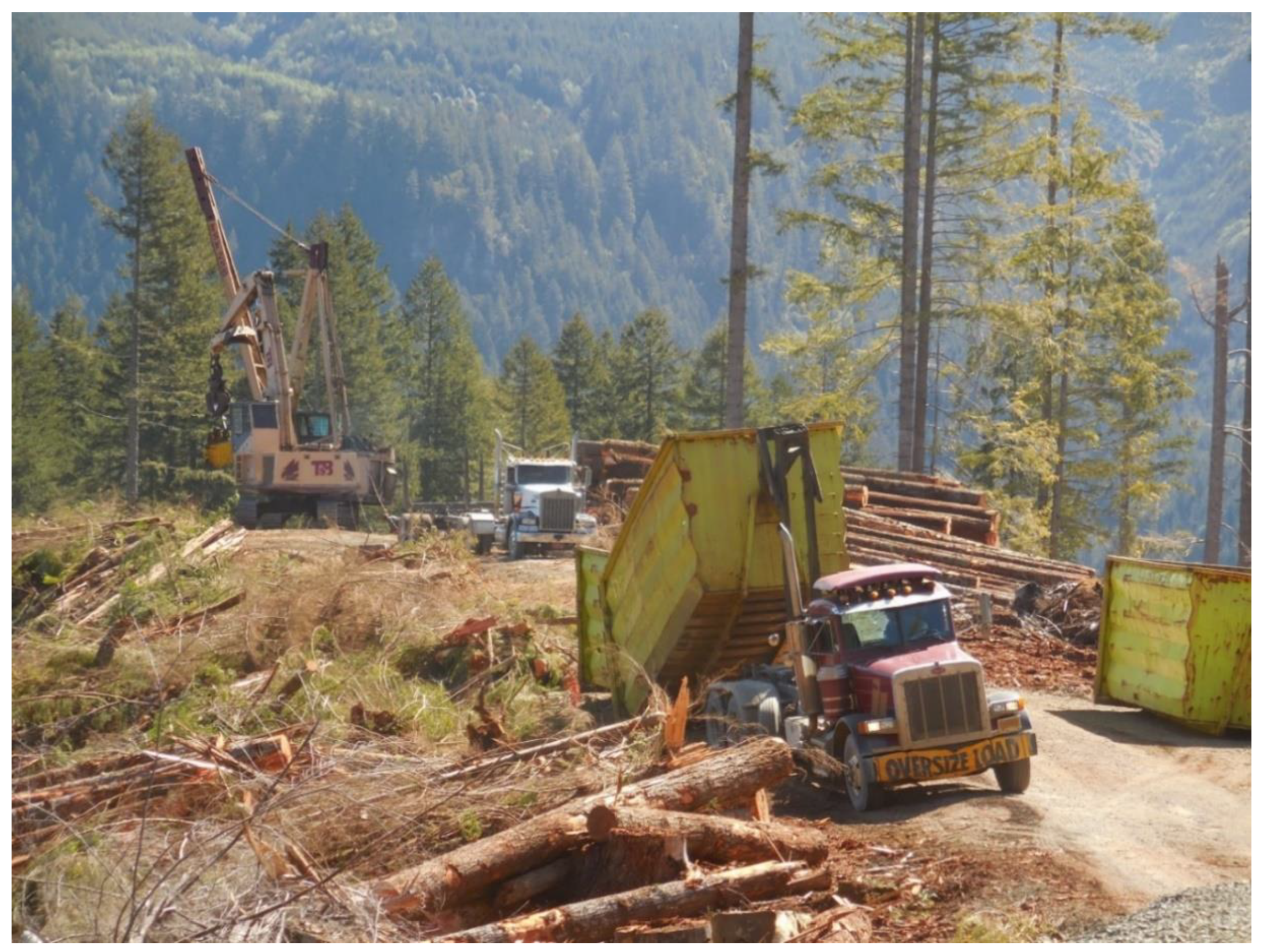 Forests 11 00385 g002