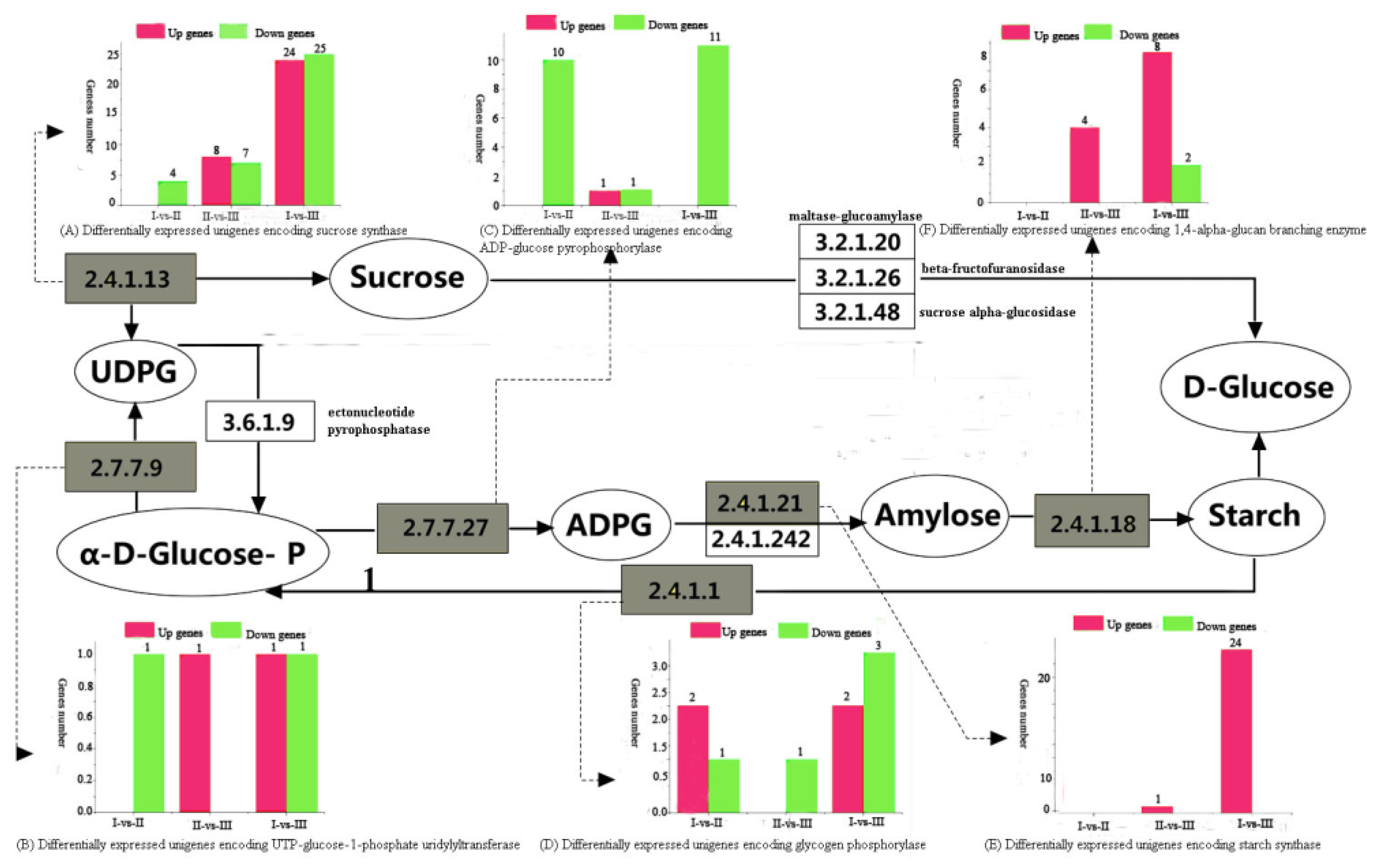 Forests 11 00388 g006 Forests 11 00388 g006