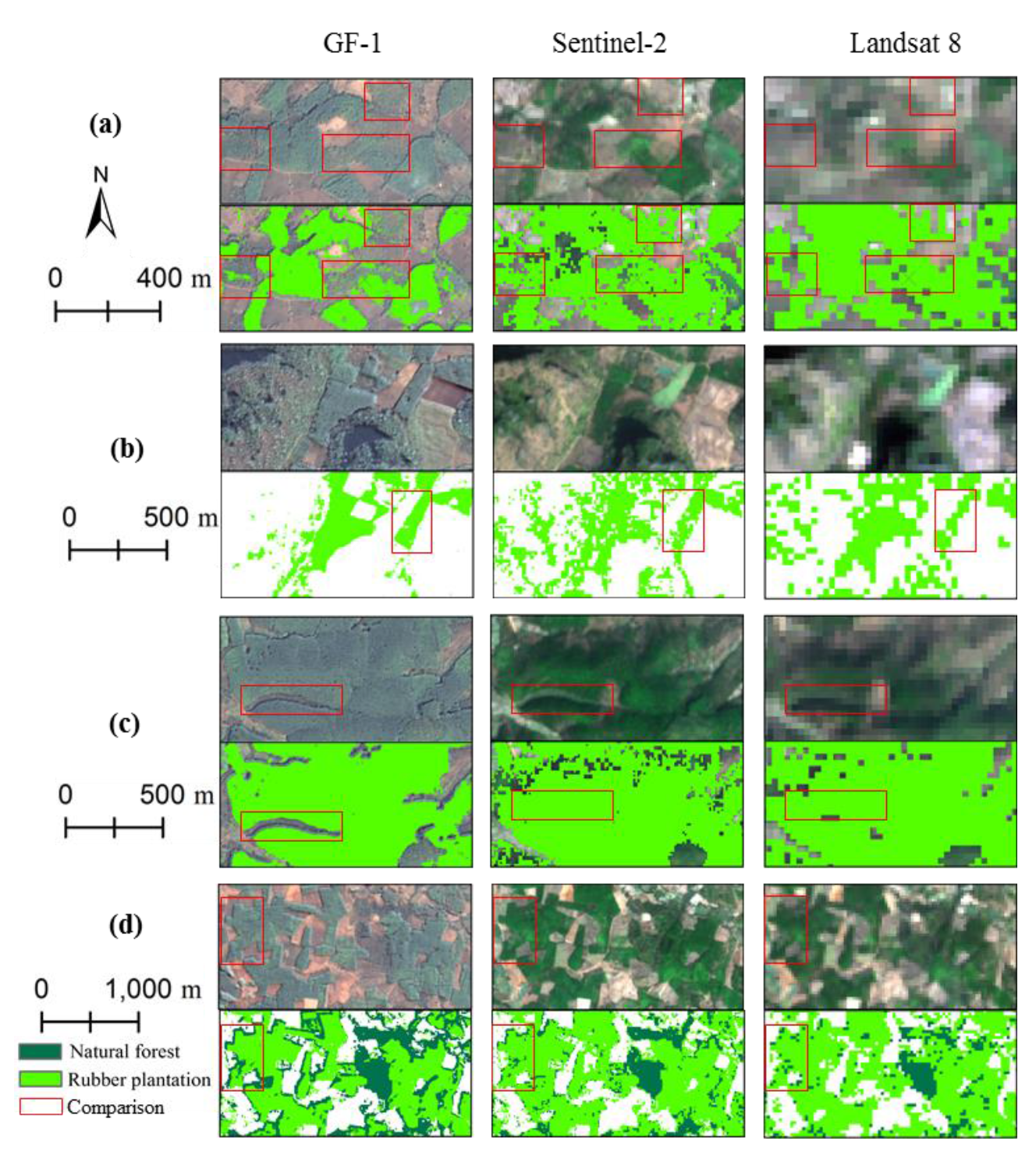 Forests 11 00399 g008 Forests 11 00399 g008
