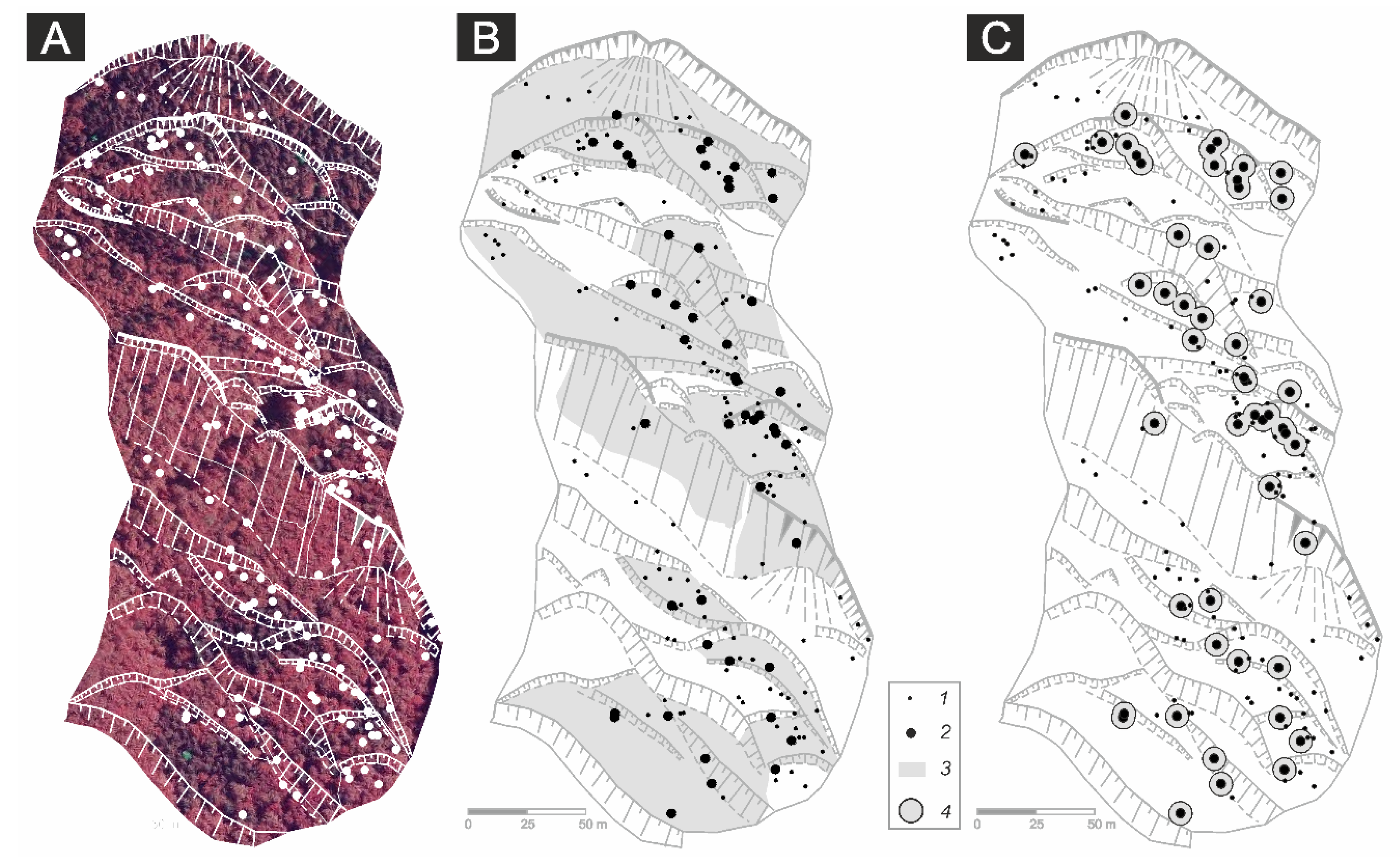 Forests 11 00400 g003 Forests 11 00400 g003