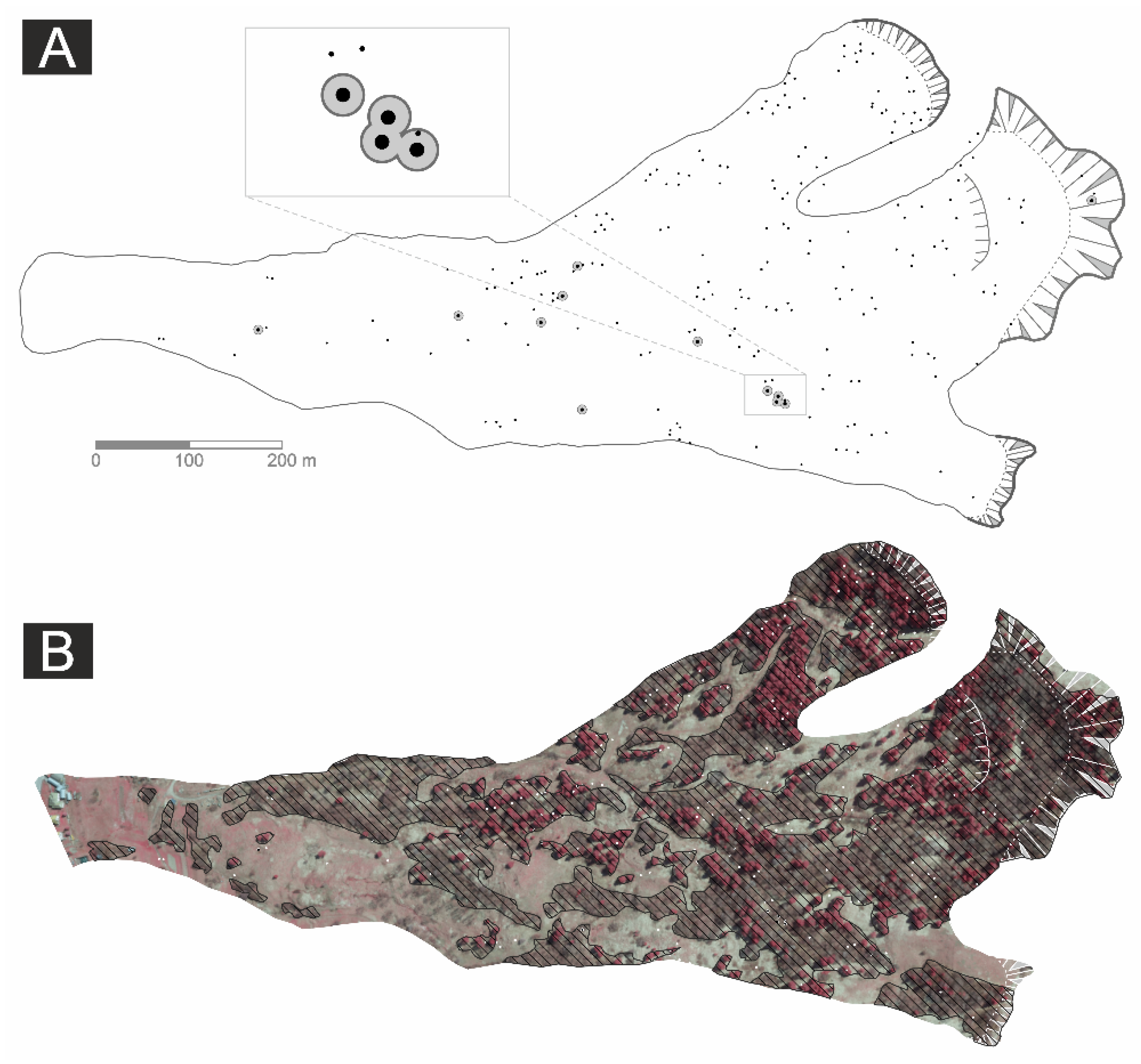 Forests 11 00400 g005 Forests 11 00400 g005