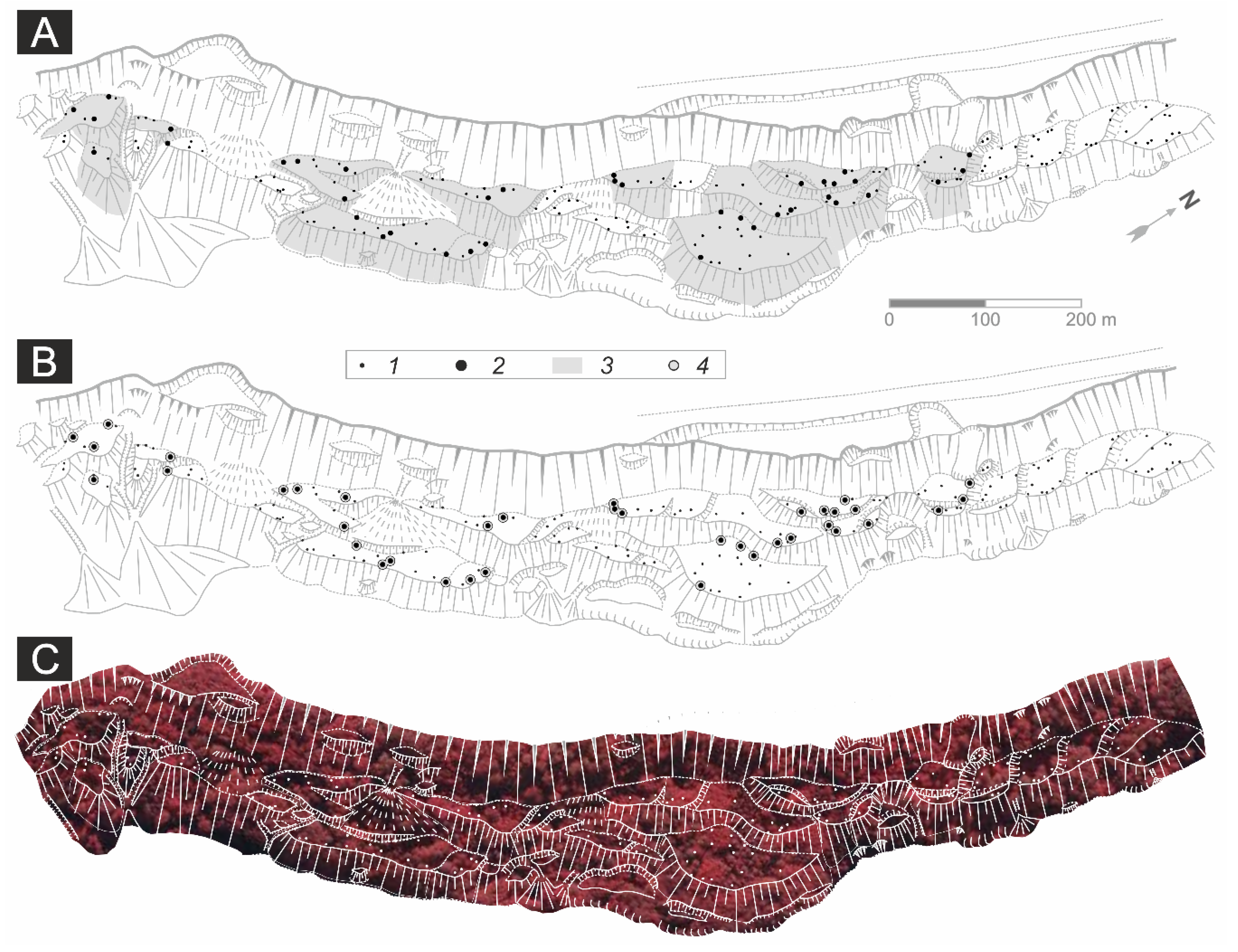 Forests 11 00400 g007 Forests 11 00400 g007