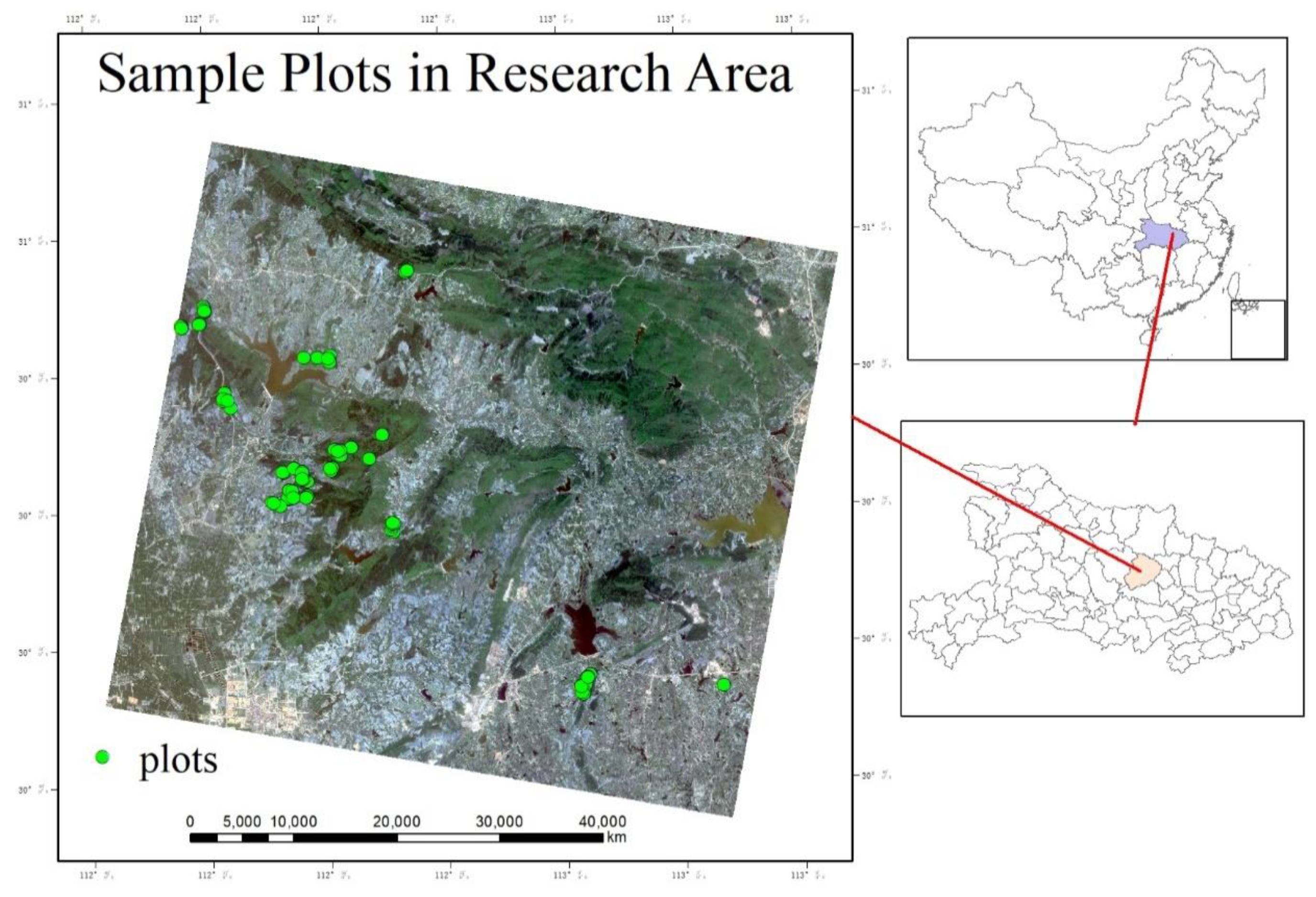 Forests 11 00407 g001 Forests 11 00407 g001