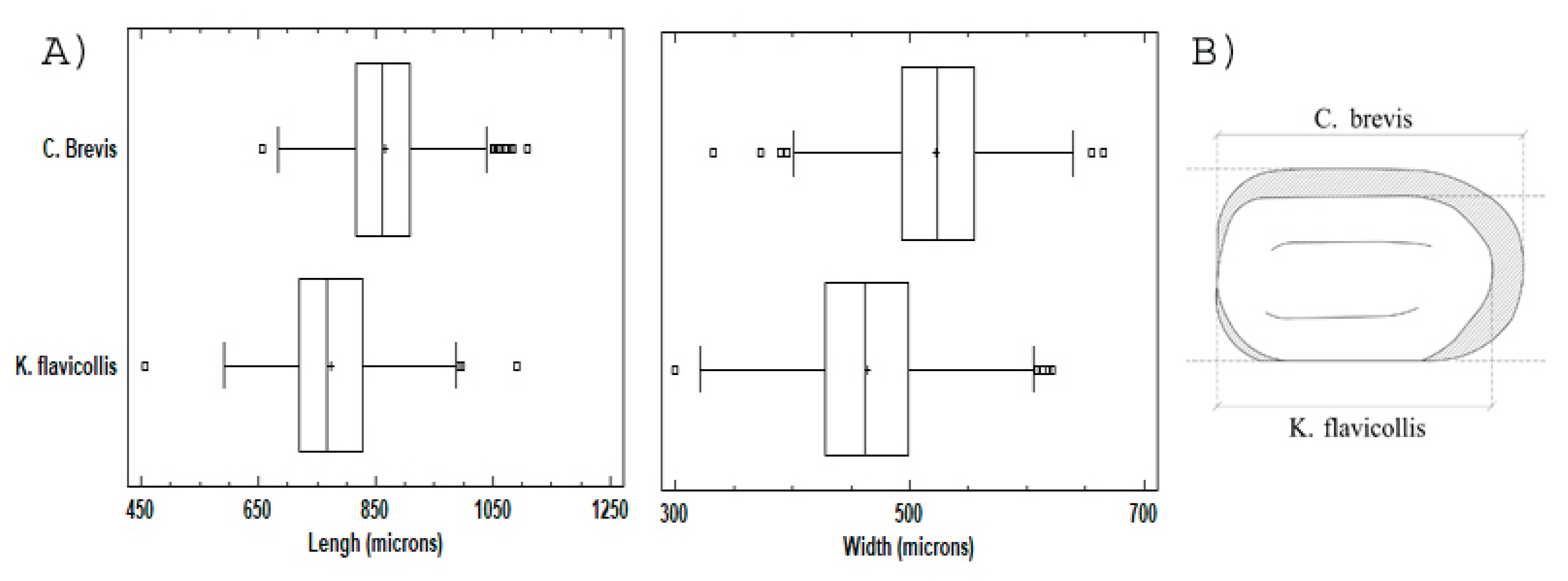 Forests 11 00408 g002 Forests 11 00408 g002