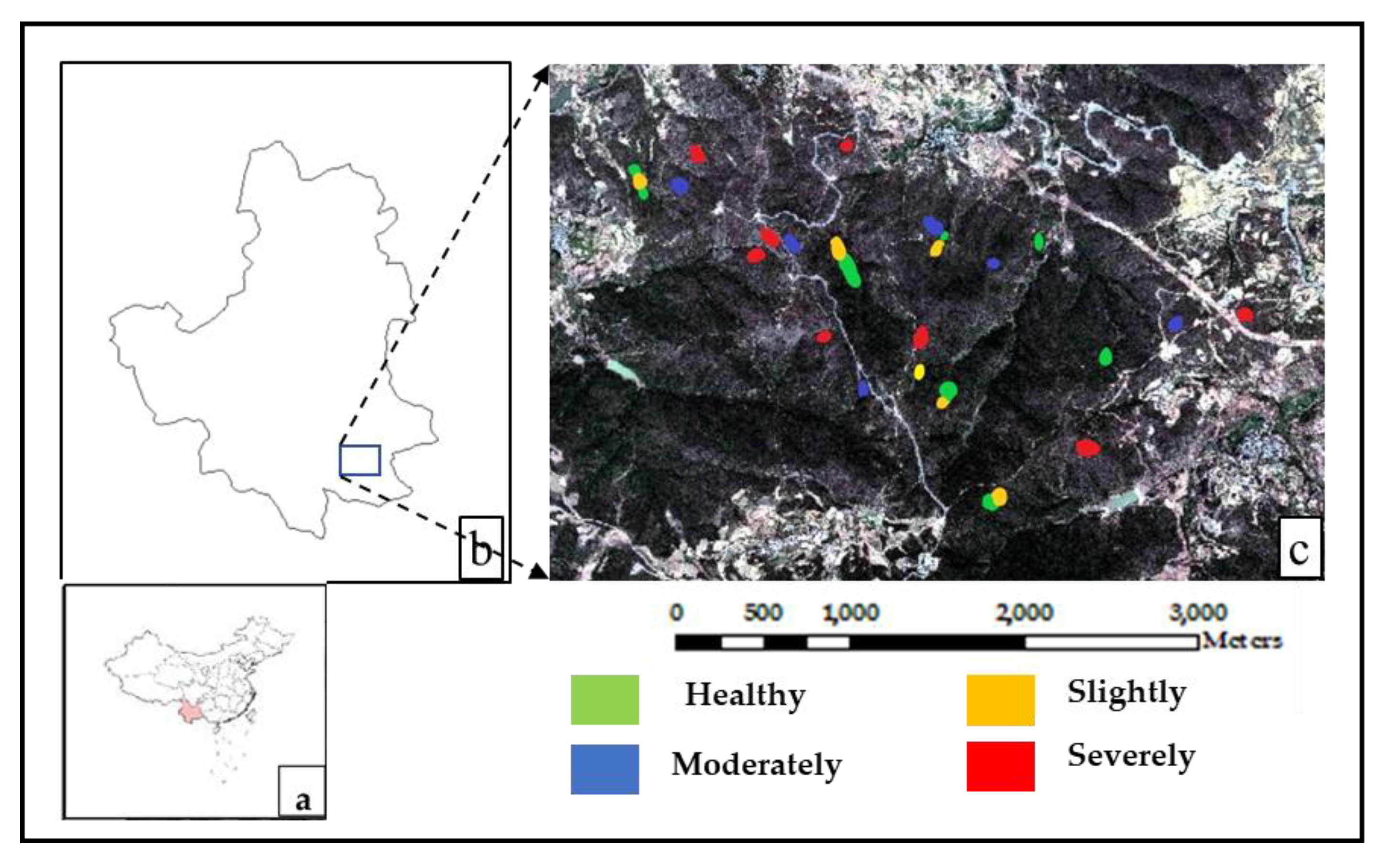 Forests 11 00417 g001