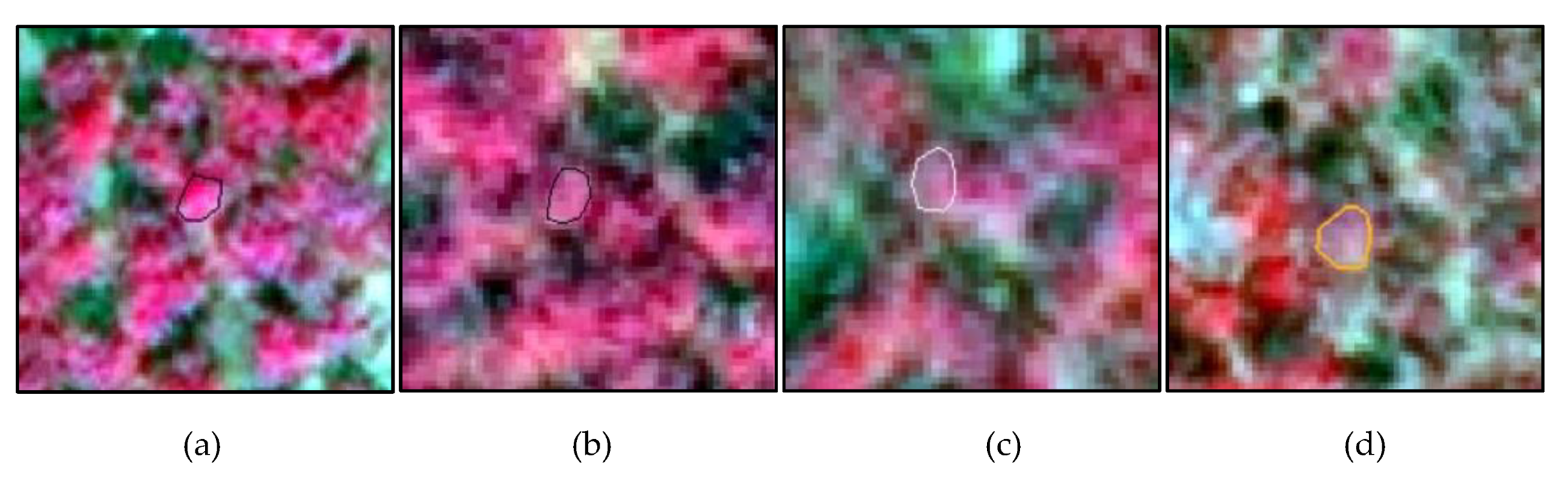 Forests 11 00417 g003