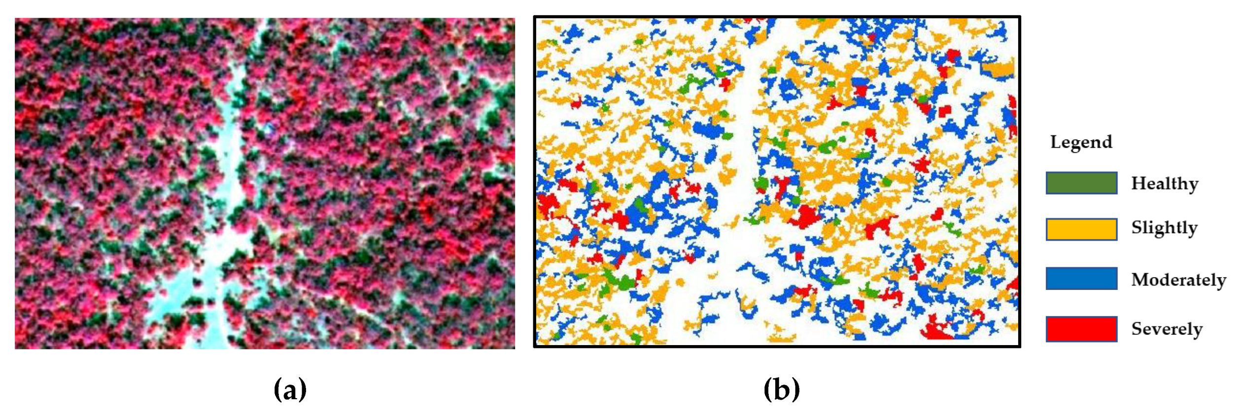 Forests 11 00417 g007