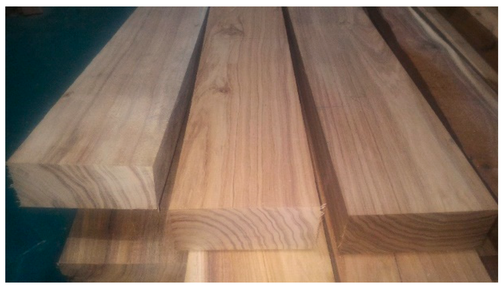 Forests 11 00418 g001