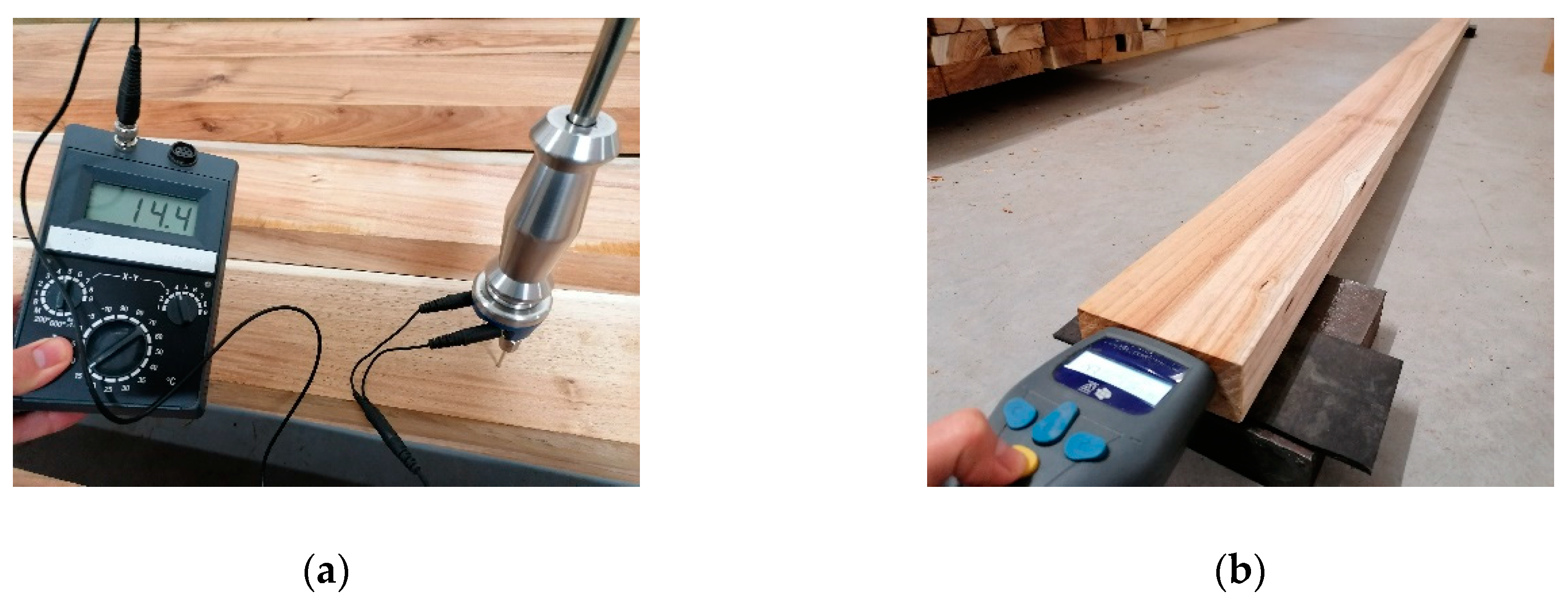 Forests 11 00418 g002