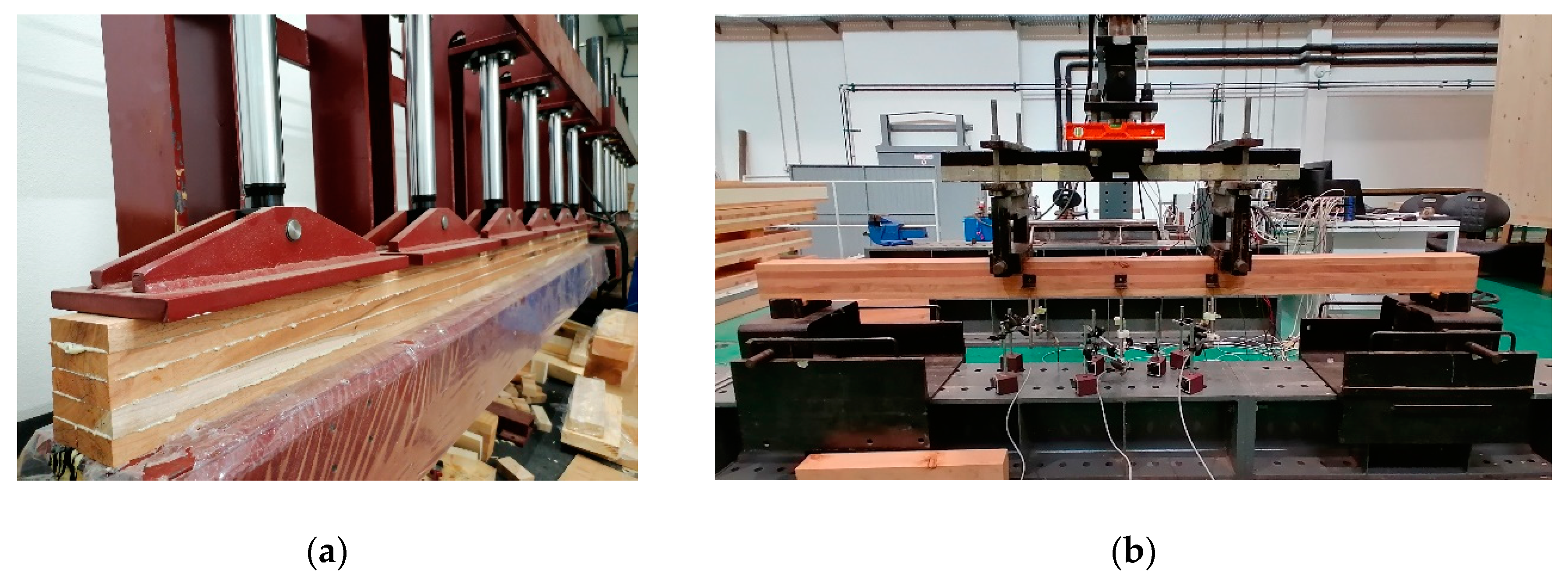 Forests 11 00418 g004