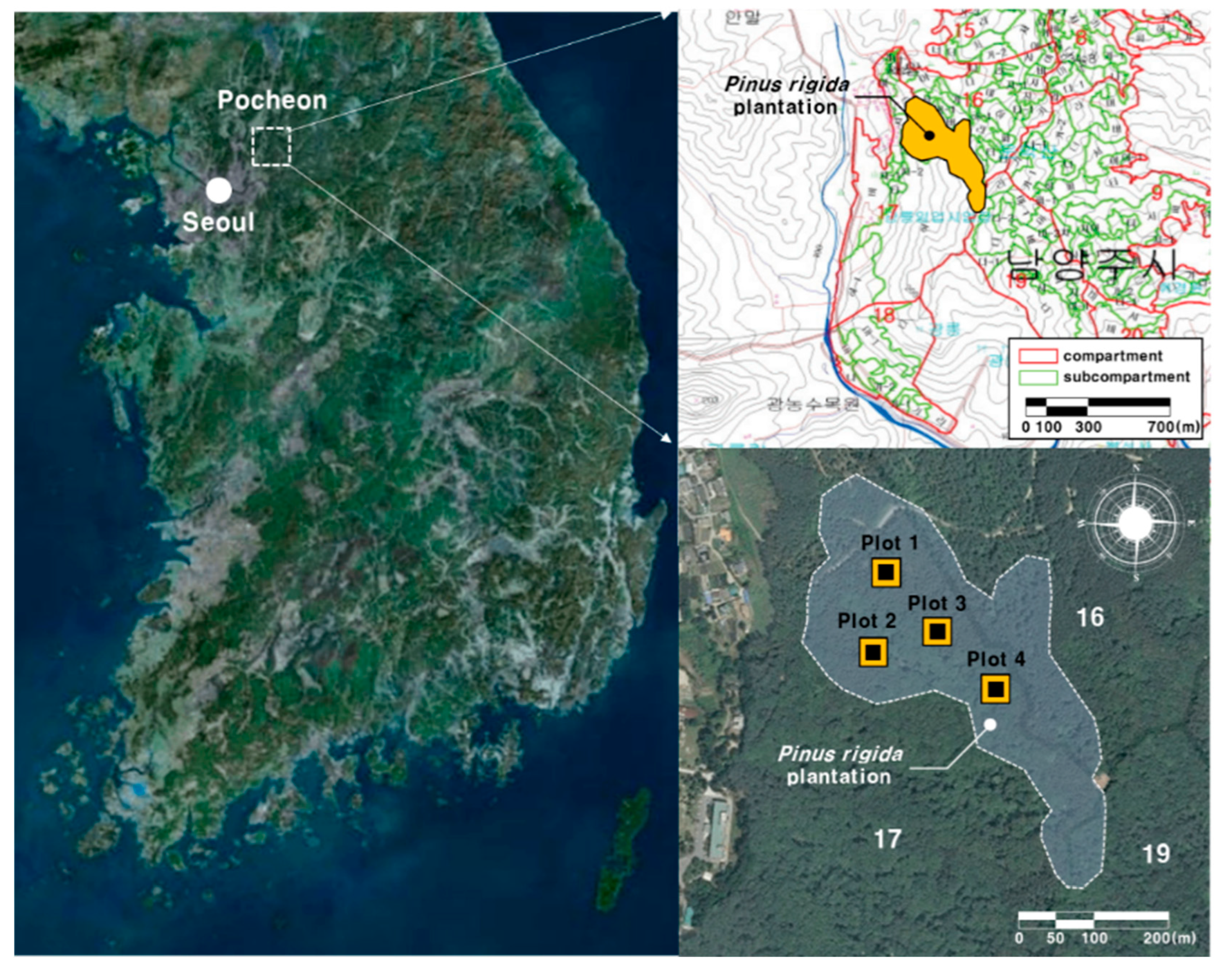 Forests 11 00425 g001 Forests 11 00425 g001