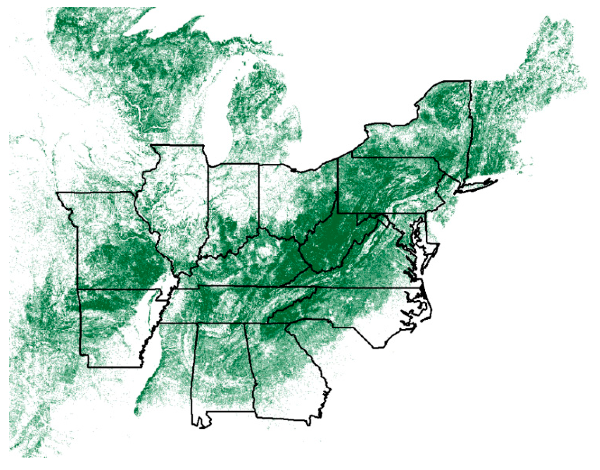 Forests 11 00435 g001