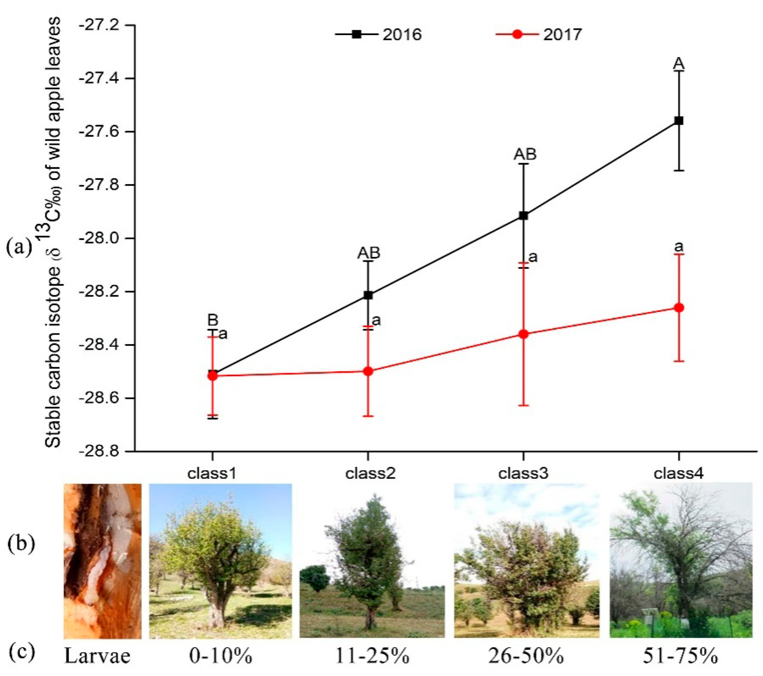 Forests 11 00440 g003