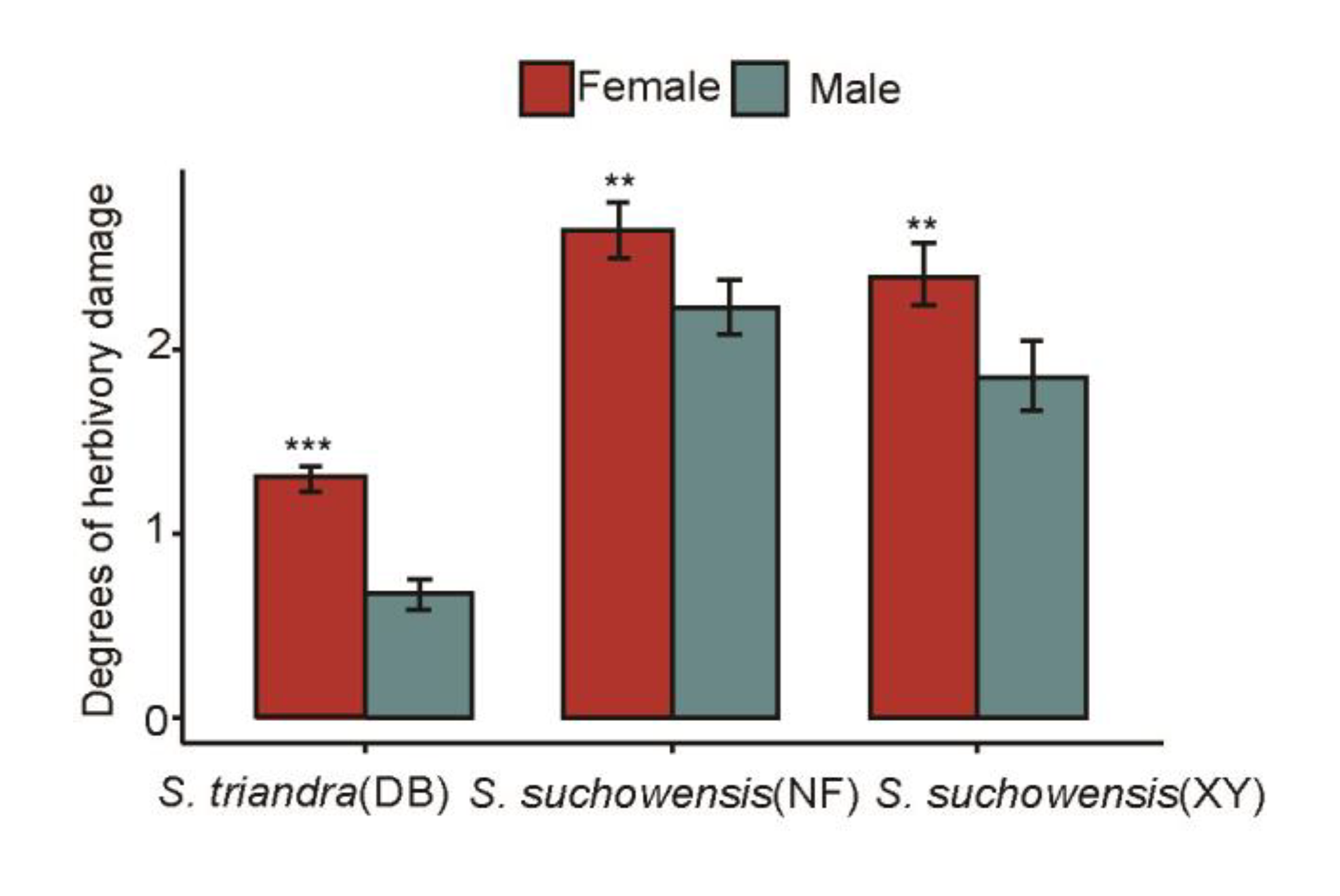 Forests 11 00450 g001 Forests 11 00450 g001