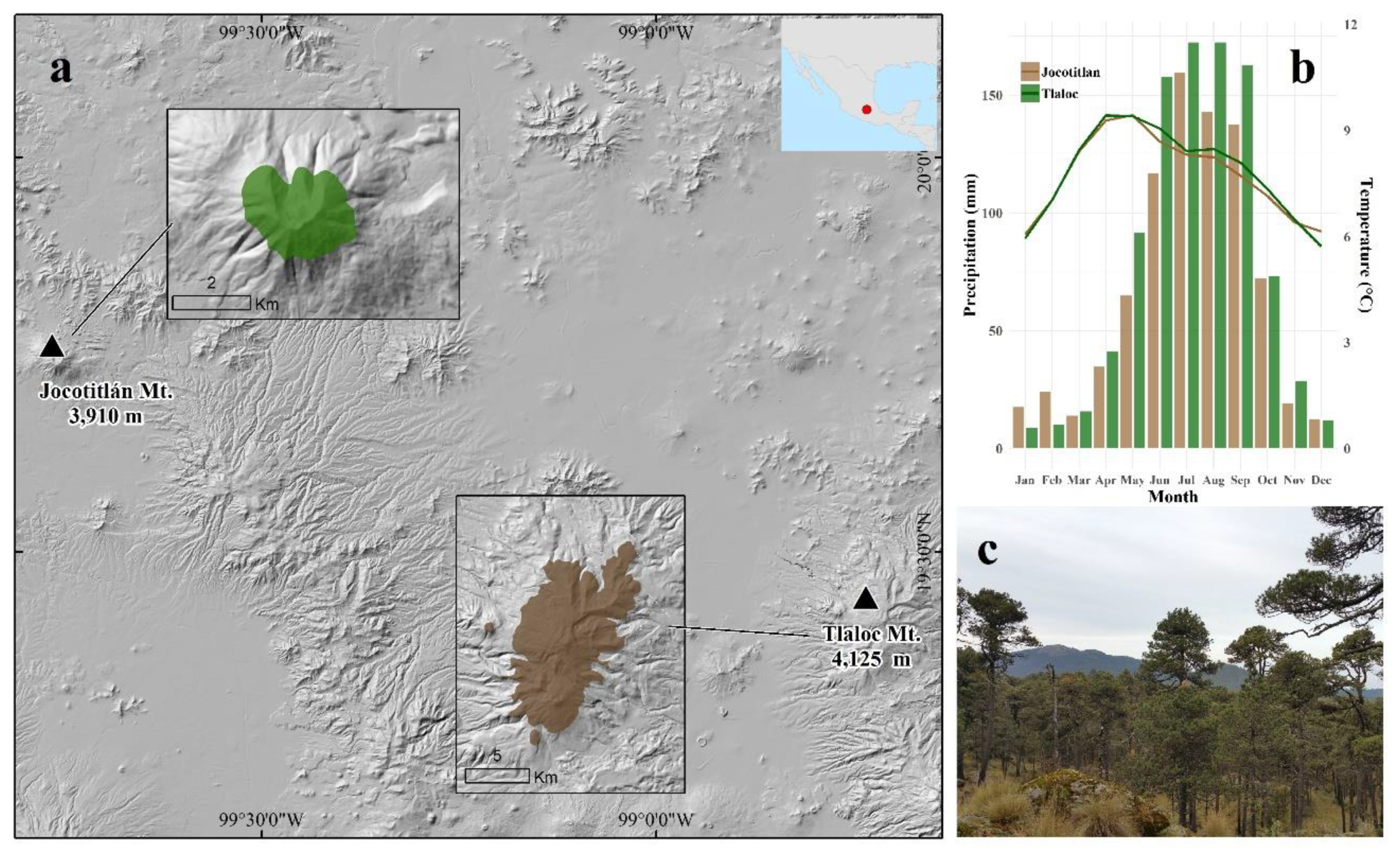 Forests Free Full Text Long Term Wood Micro Density Variation In Alpine Forests At Central Mexico And Their Spatial Links With Remotely Sensed Information Html