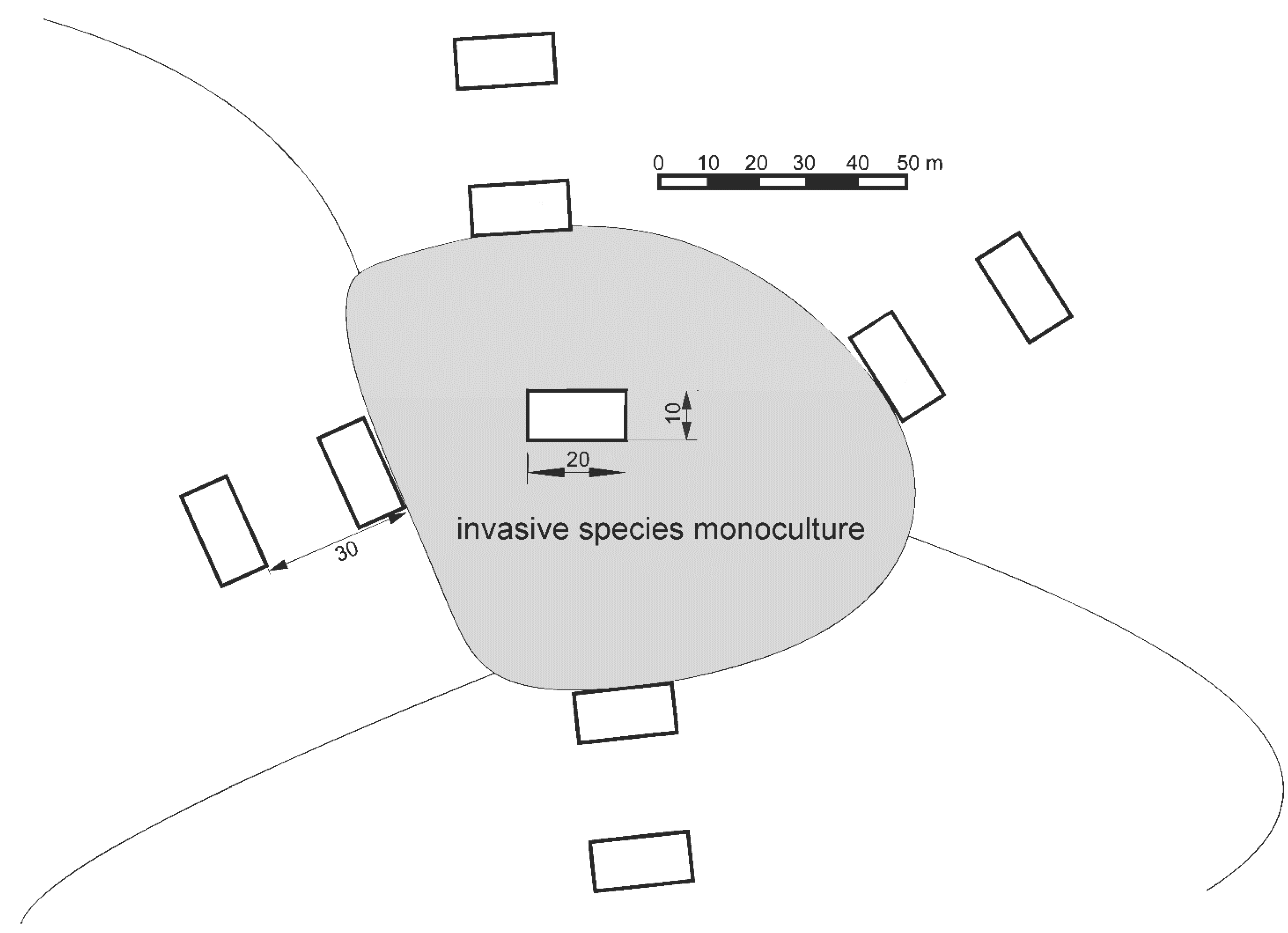 Forests 11 00456 g001 Forests 11 00456 g001
