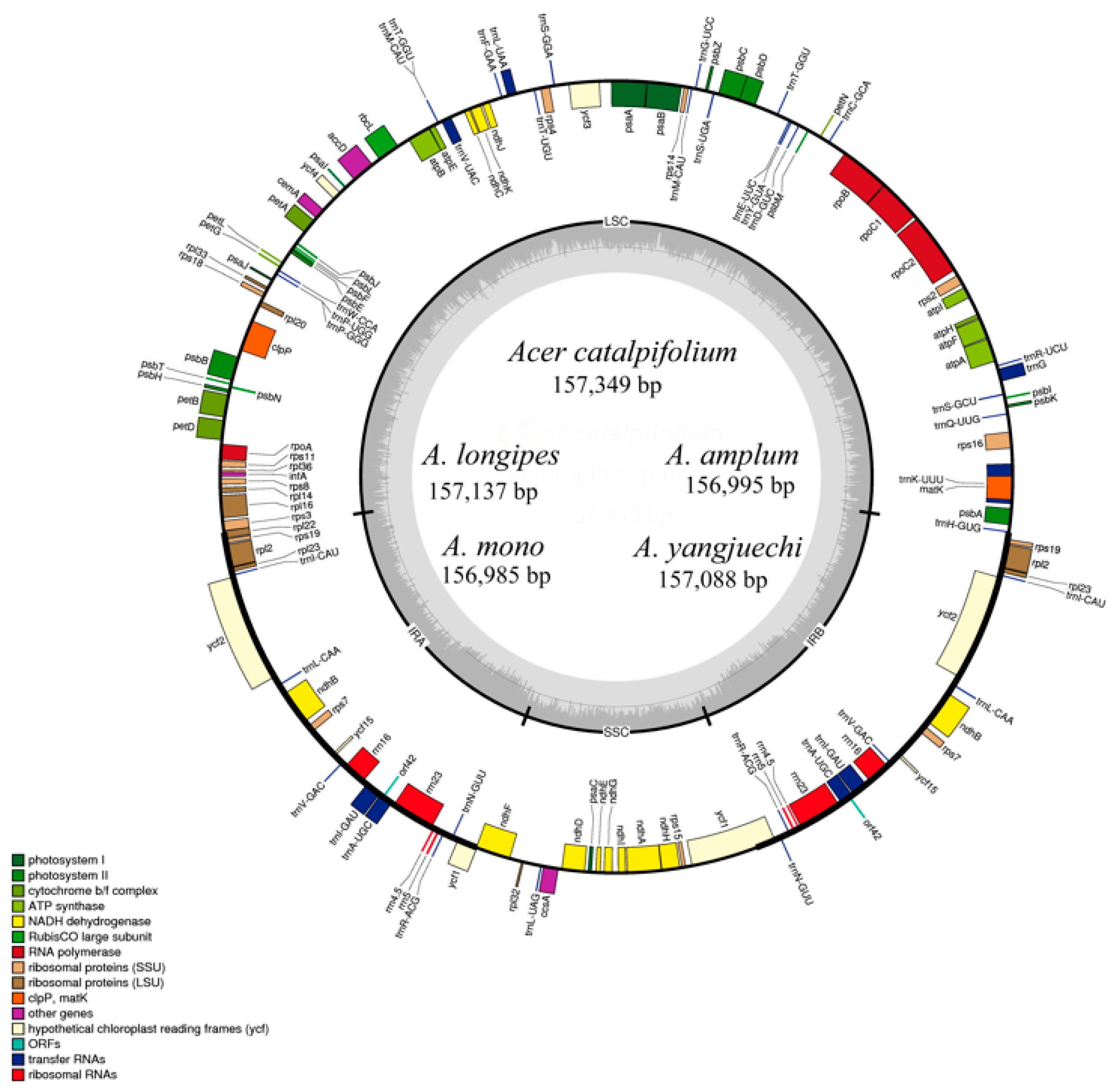 Forests 11 00462 g001 Forests 11 00462 g001