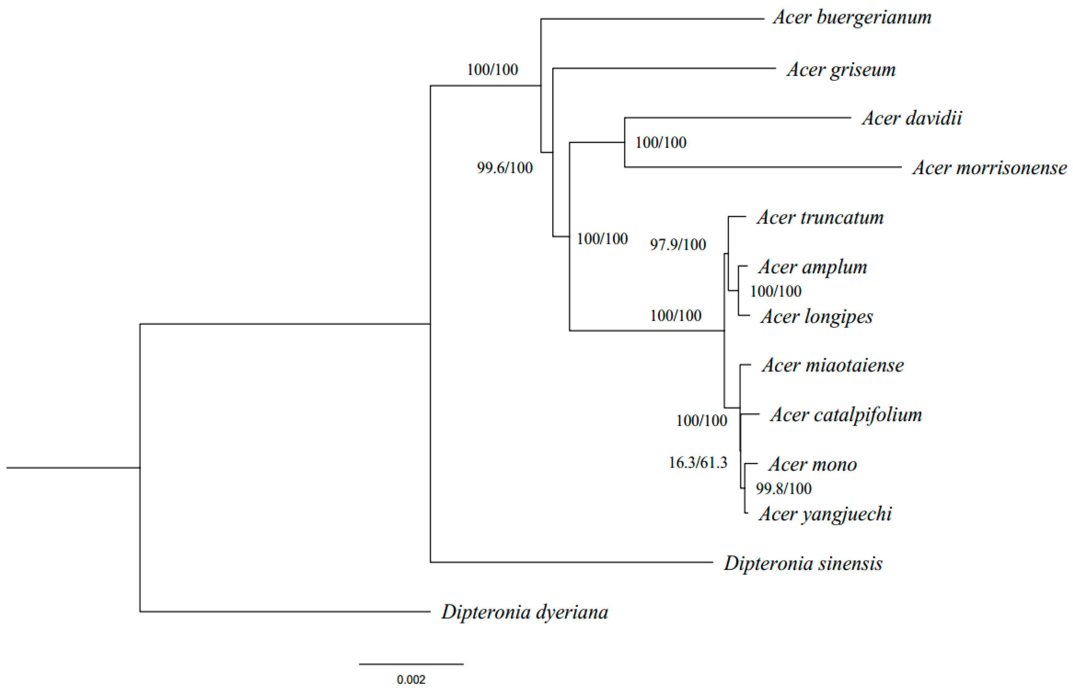 Forests 11 00462 g004 Forests 11 00462 g004