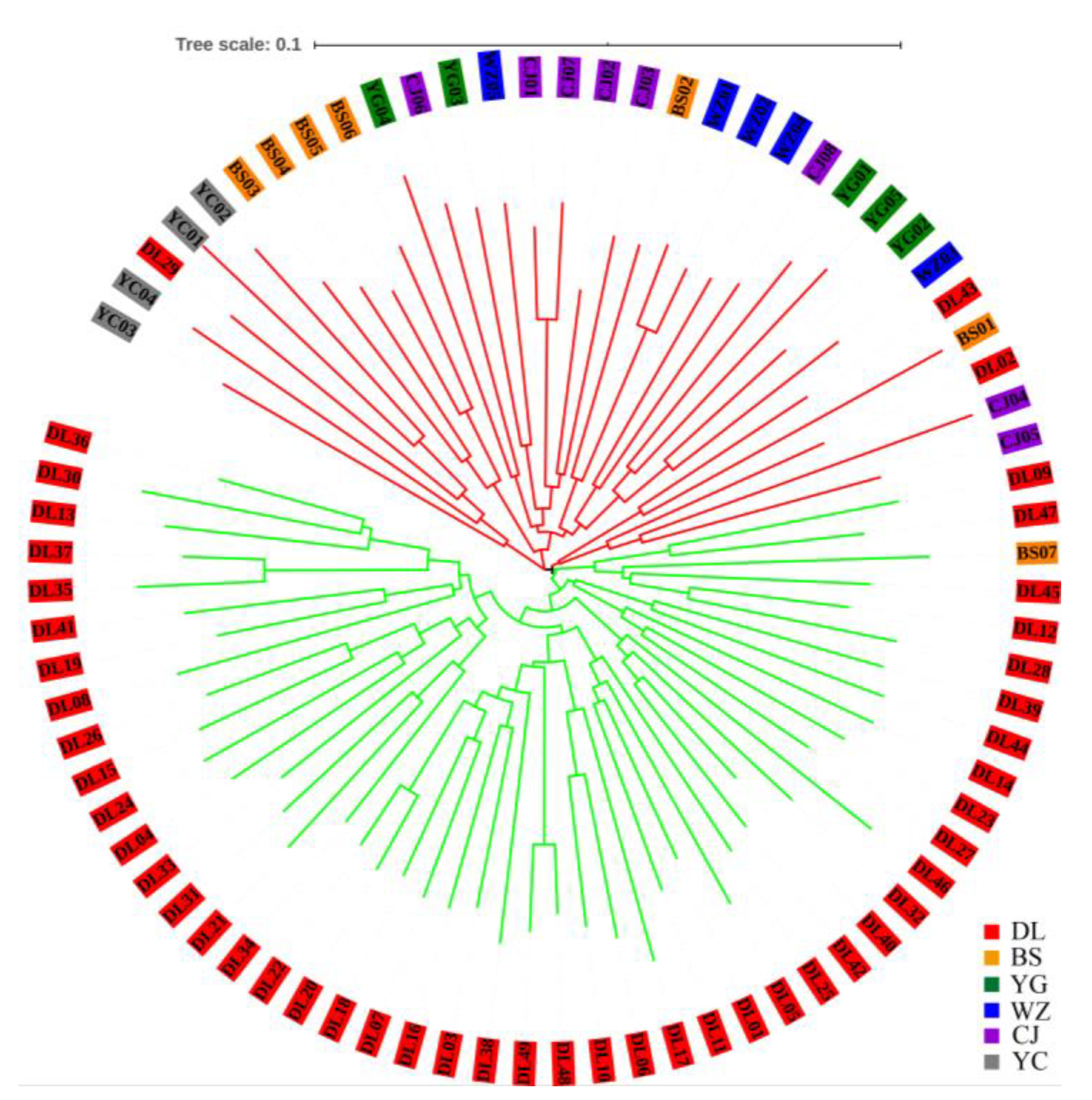 Forests 11 00469 g003